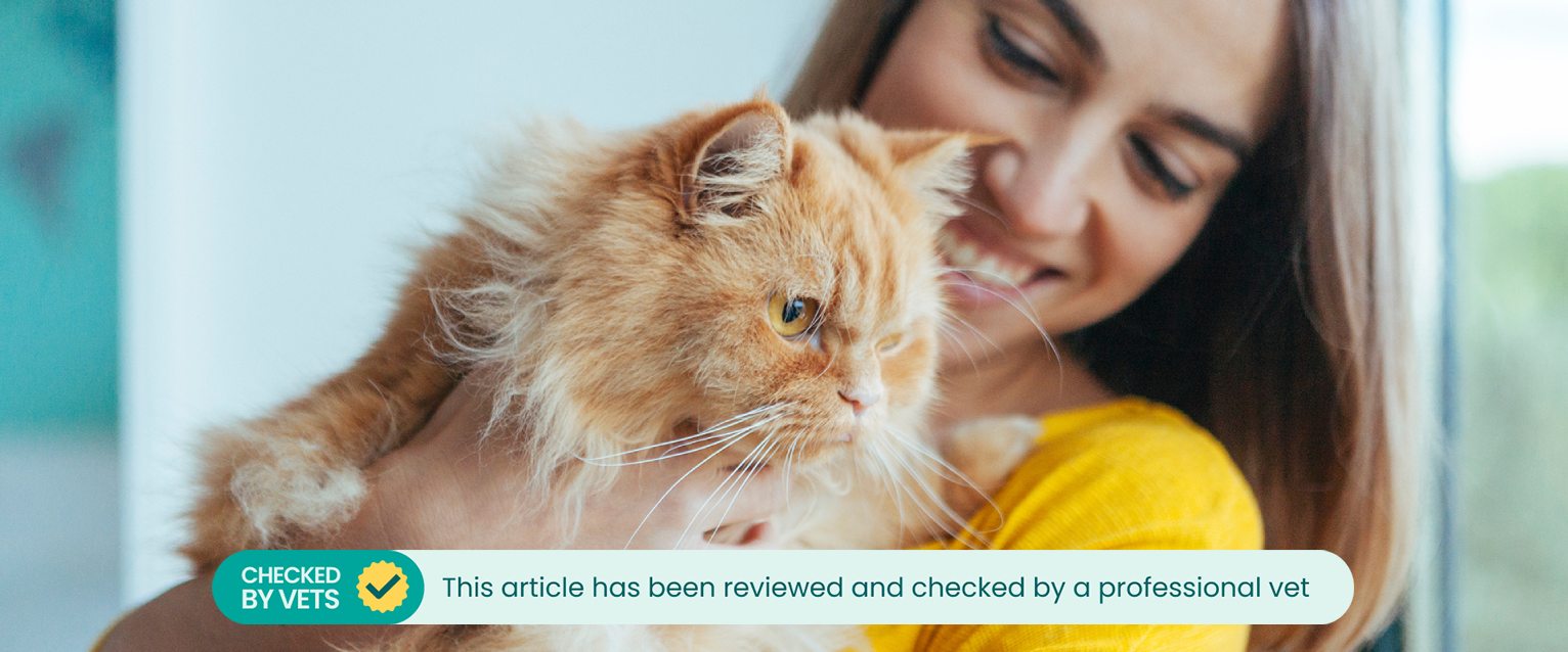 A woman holding a fluffy ginger cat in her arms