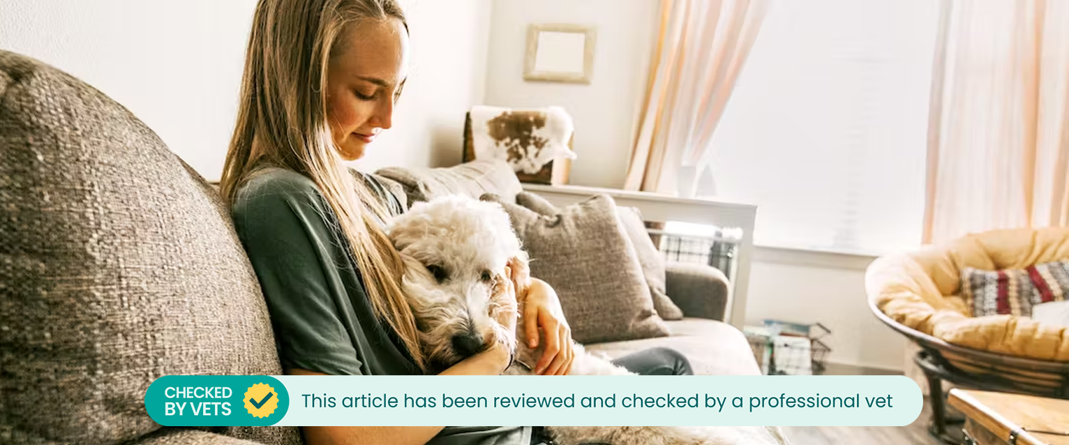 Woman cuddling a dog on the sofa