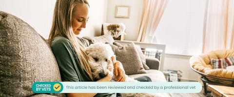 Woman cuddling a dog on the sofa