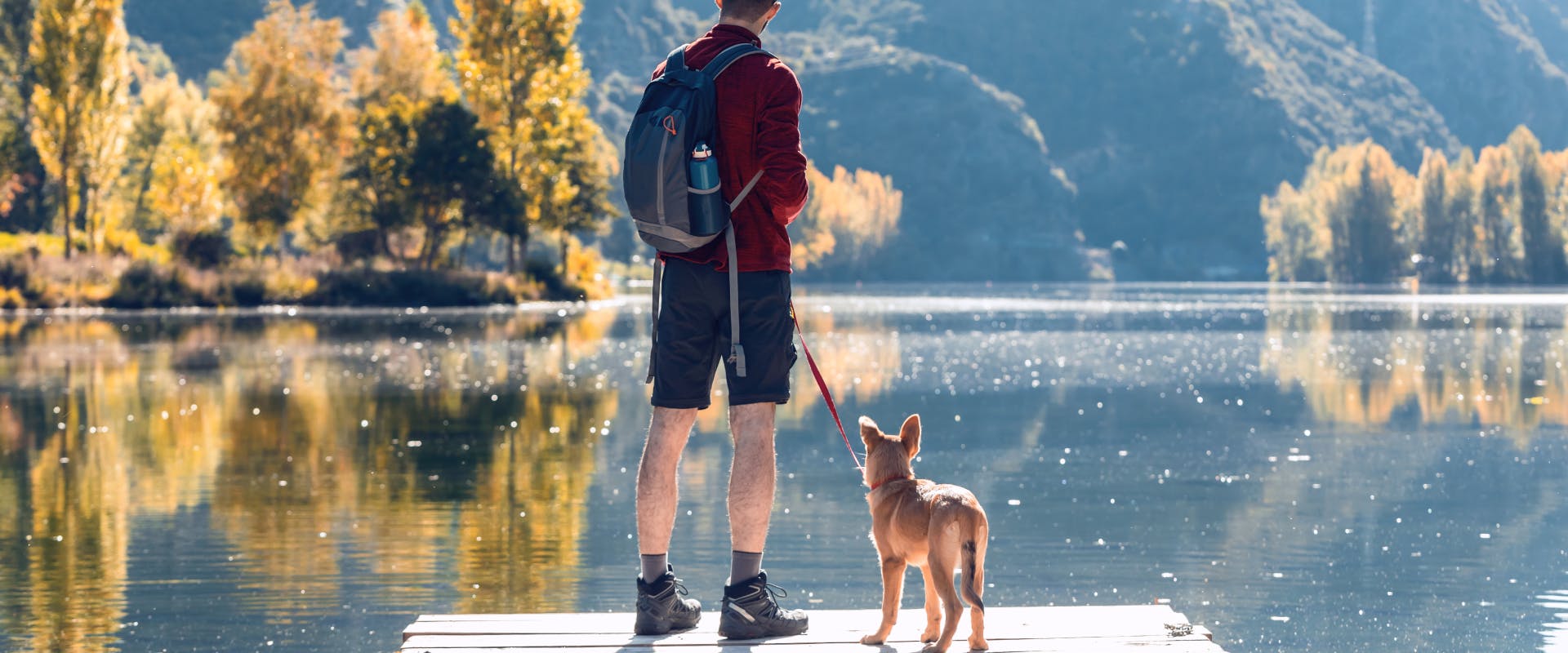 dog and man stood on a lake jetty facing mountains