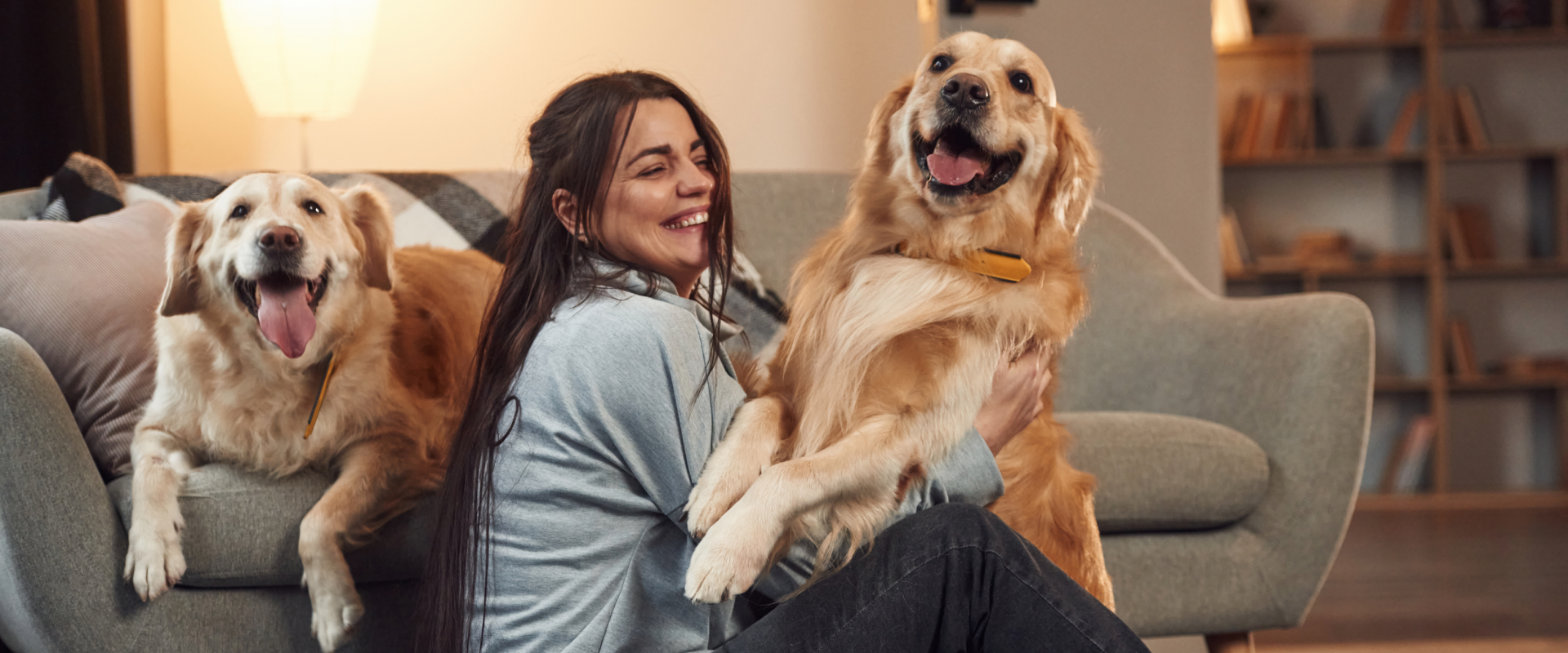 Alternatives To Dog Kennels