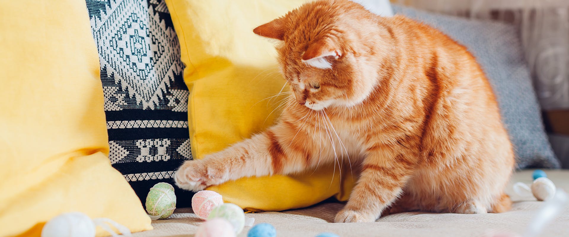 A ginger cat pawing at some Easter egg decorations