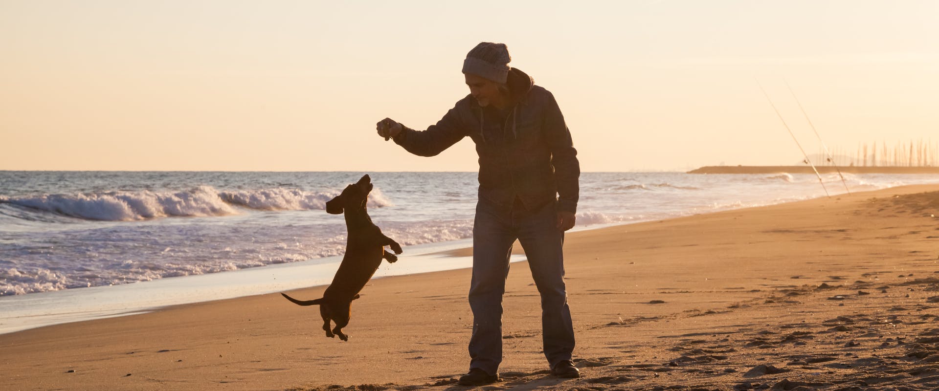 a pet parent playing with their sausage dog on a Santa Cruz beach as the sun sets