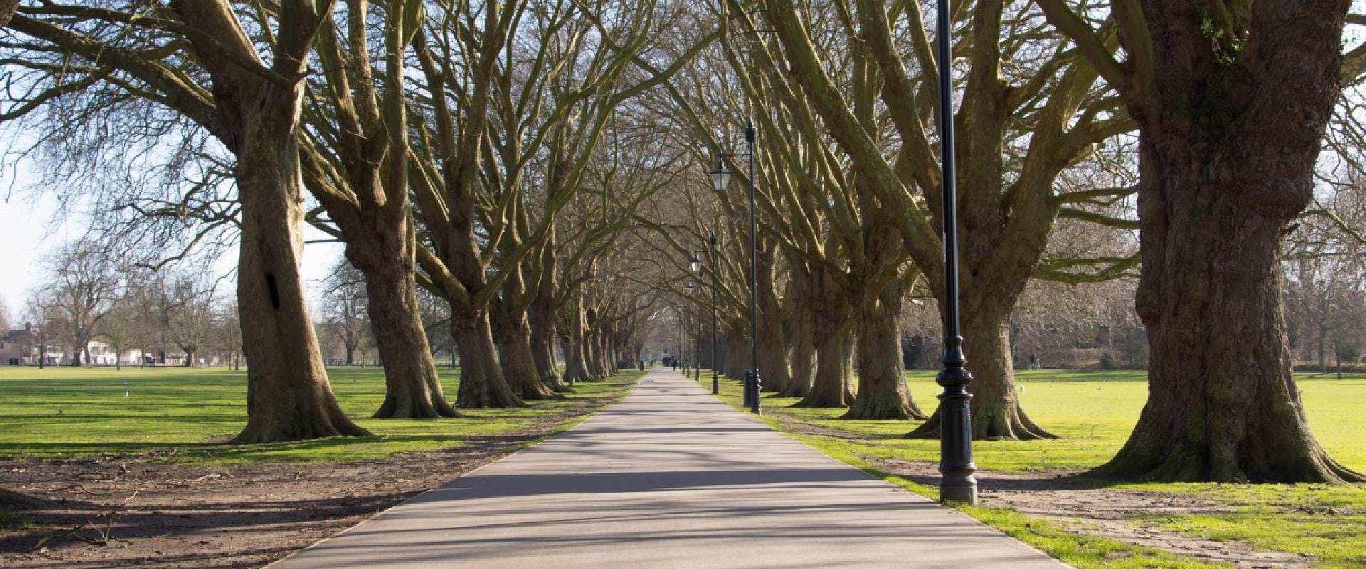 Tree-lined footpath between Midsummer common and Jesus Green Cambridge