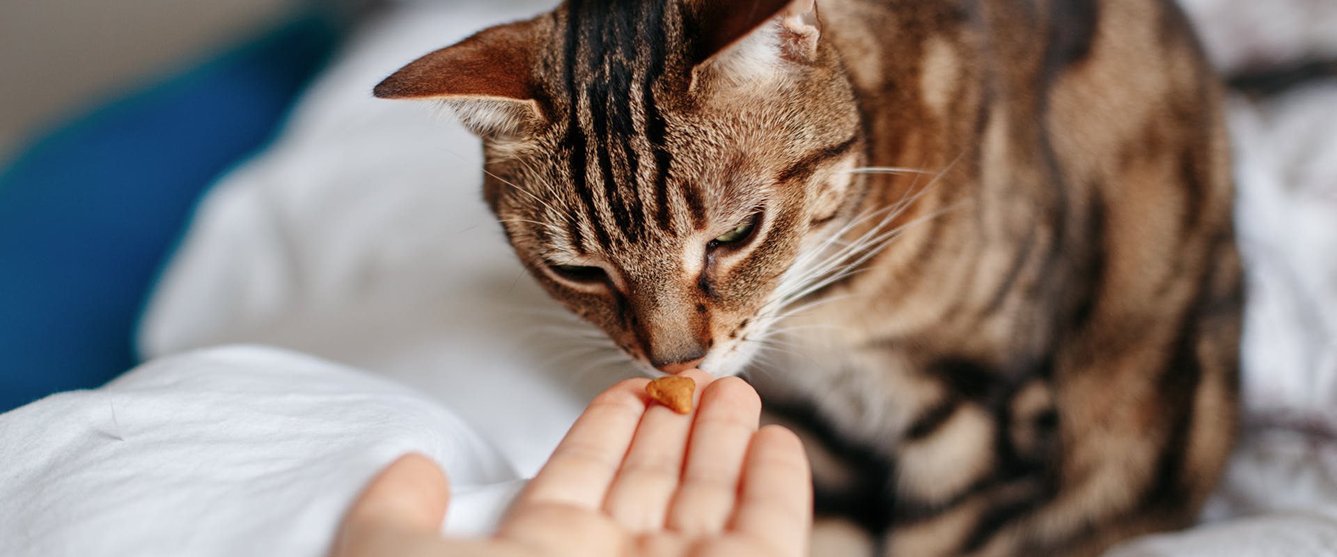 Orgazm haqida video Blondes shahvatli ona bilan jinsiy aloqa