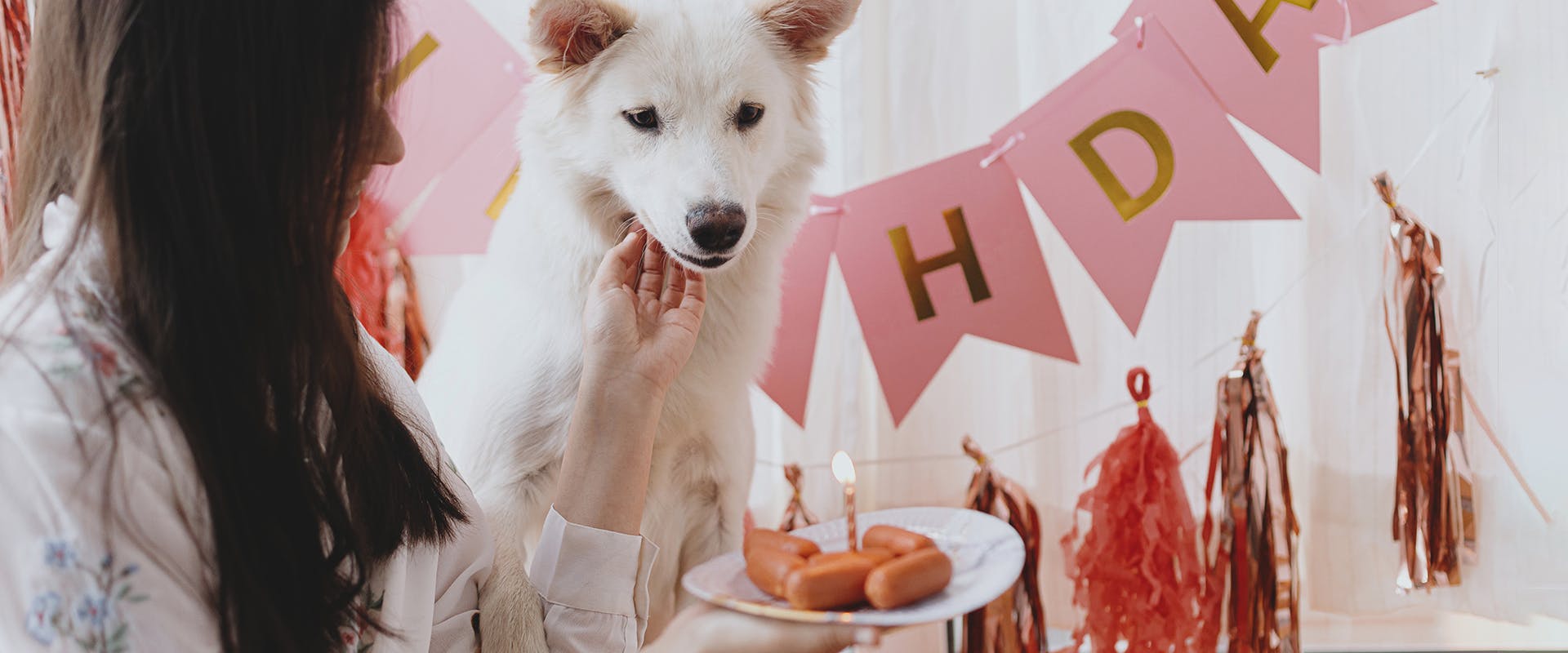 A woman presenting a plate of treats to a white dog, 'birthday' bunting in the background