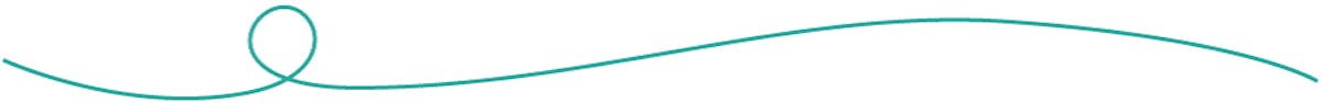 A teal green divider line