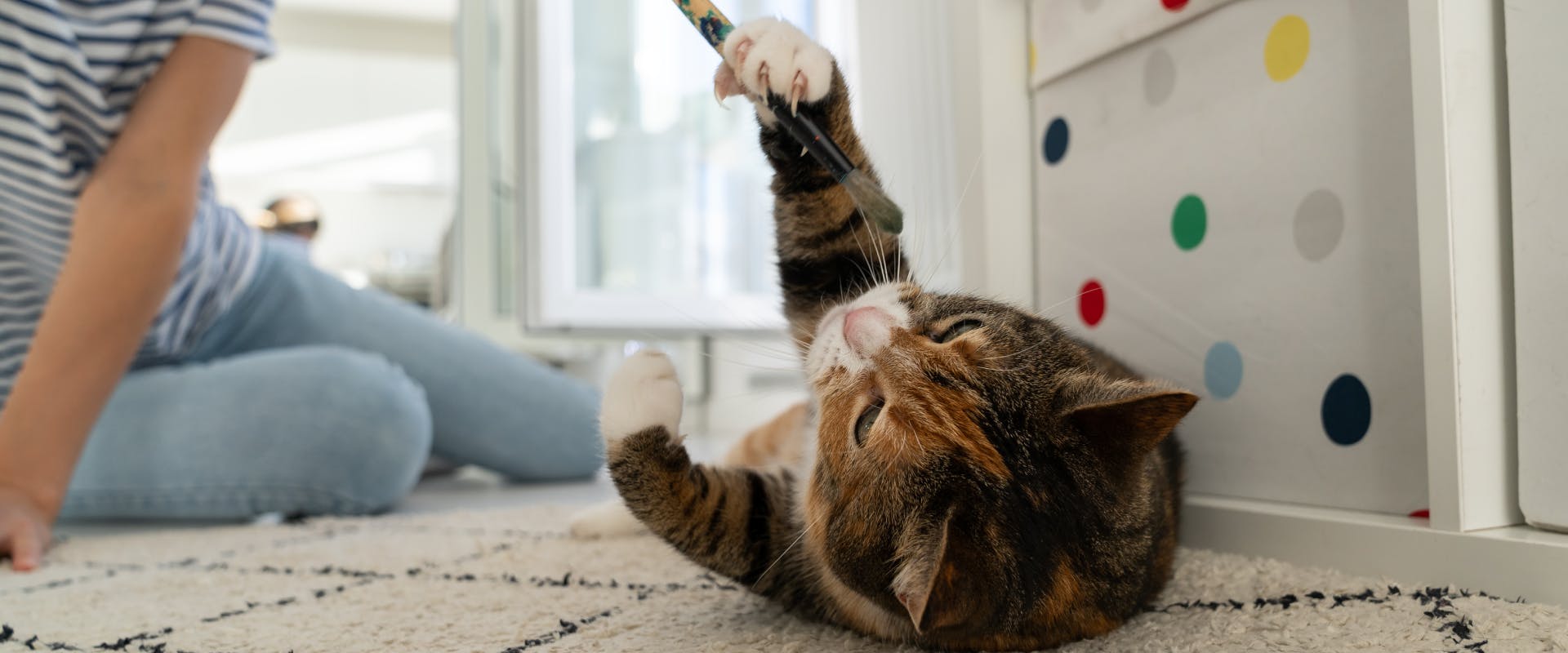 a calico cat lying on its back playing with a paintbrush as a cat teaser
