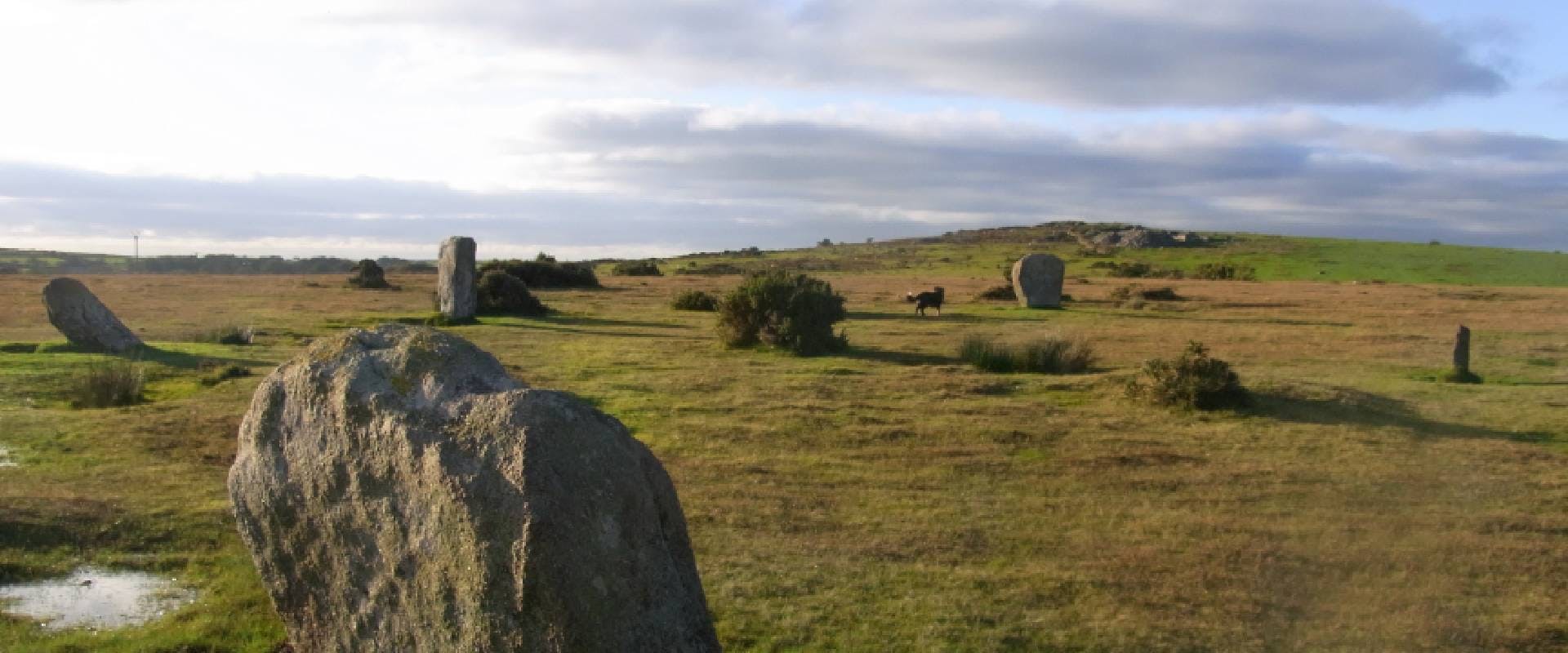 Trippet Stone Circle, near Blisland, Bodmin Moor