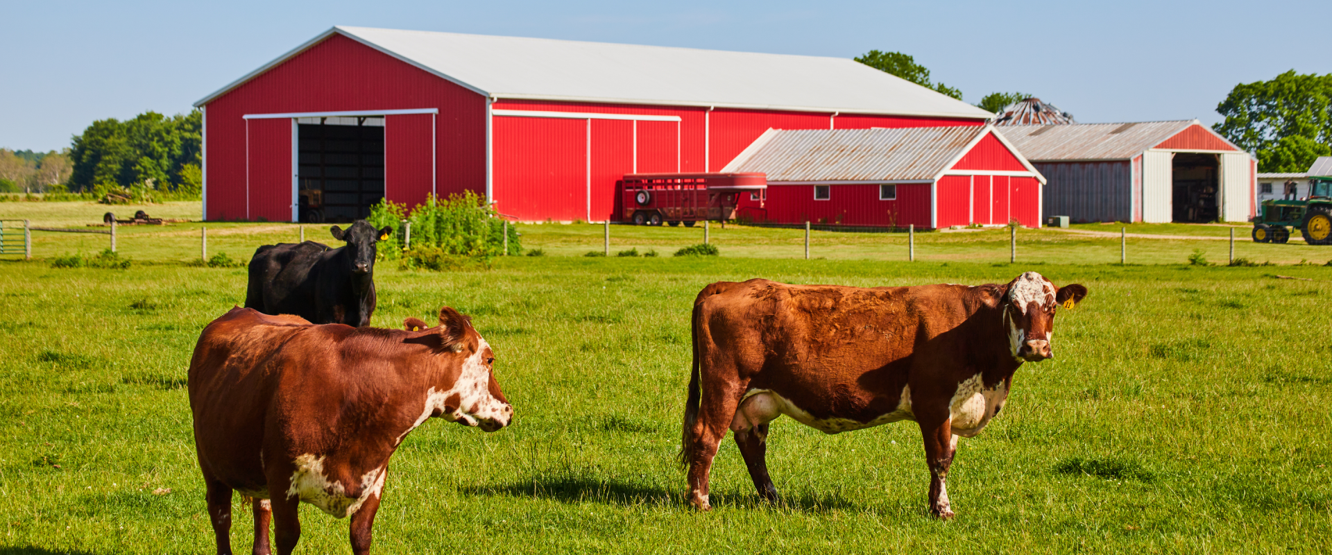 Farmhouse Sitting Form Friendships With Farmyard Animals