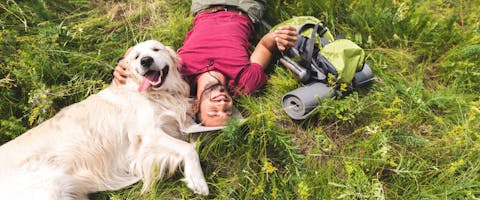 A dog lies on the grass with its owner.