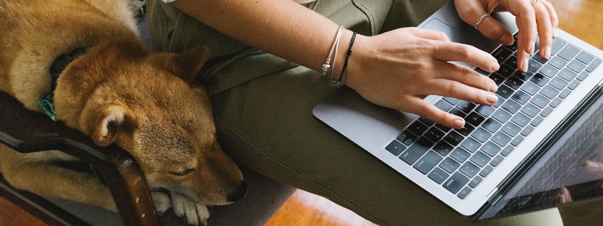 Woman typing away on a laptop with a small brown dog nestled at her side