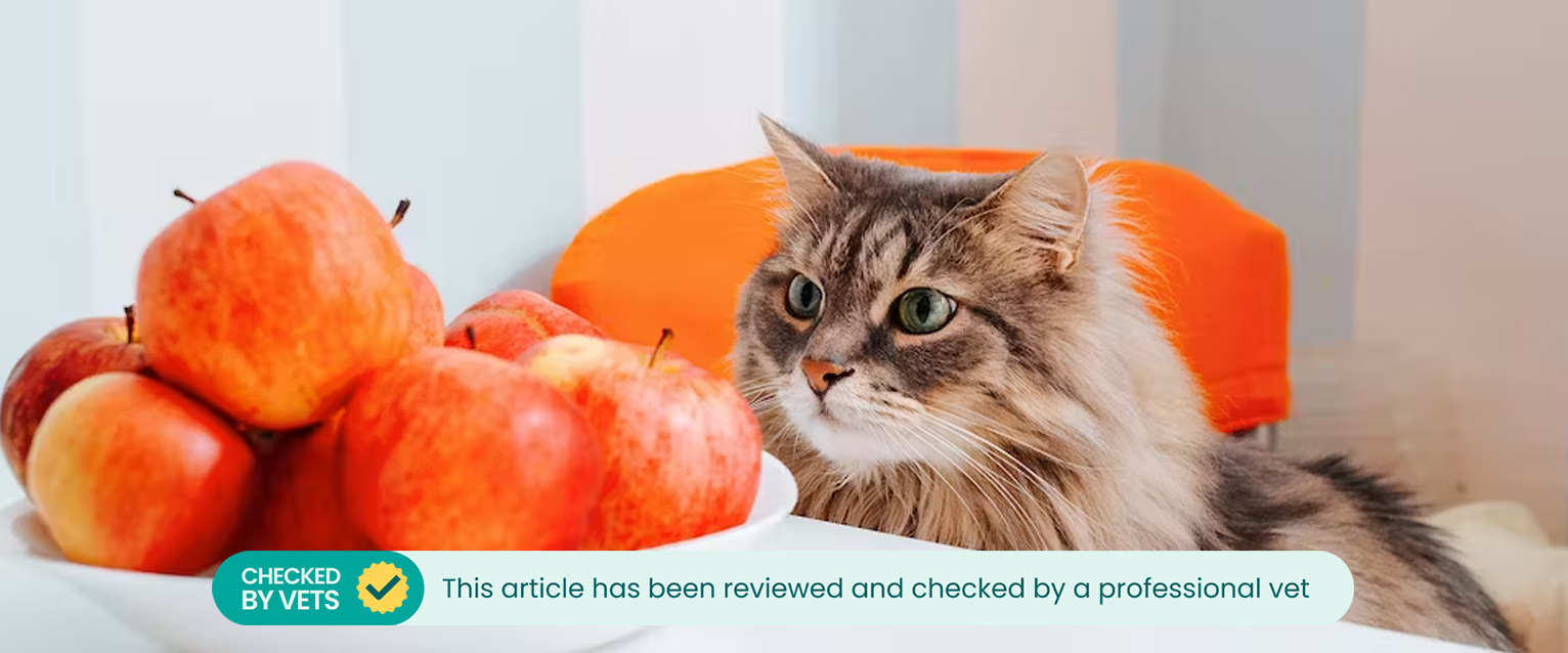A cat looking at a bowl of red apples