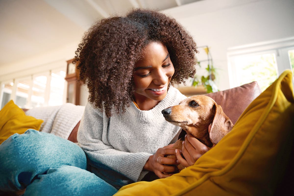 How Do I Choose A Dog Sitter