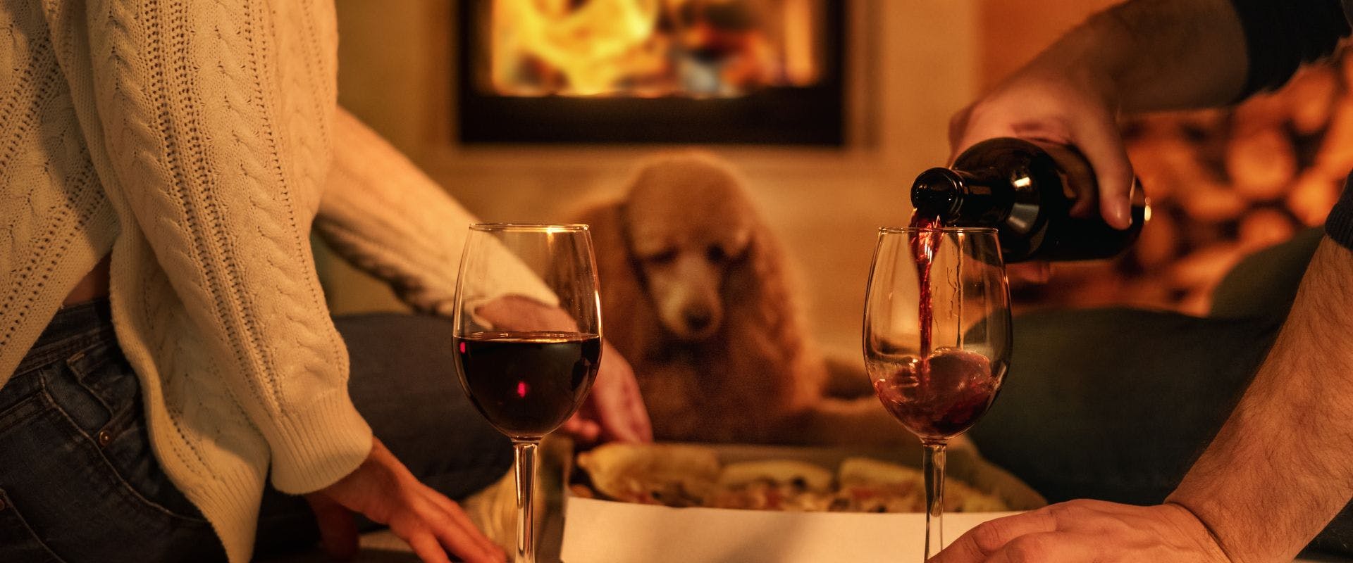 Poodle with pet parents pouring wine