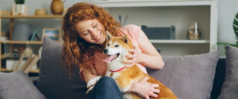 A woman sitting on a grey sofa, cuddling a Shiba Inu dog