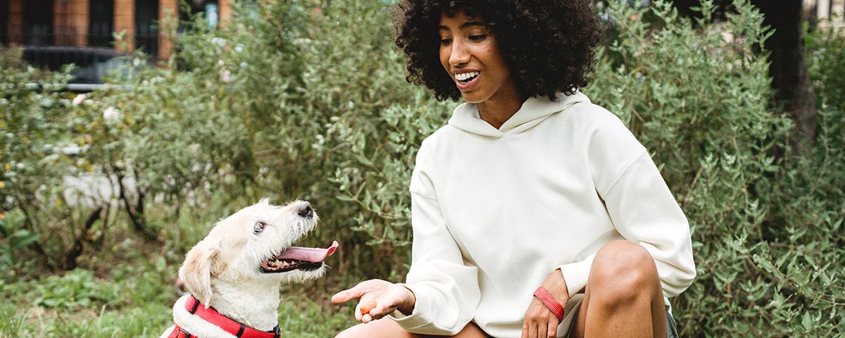 Woman holding her hand out for a dog