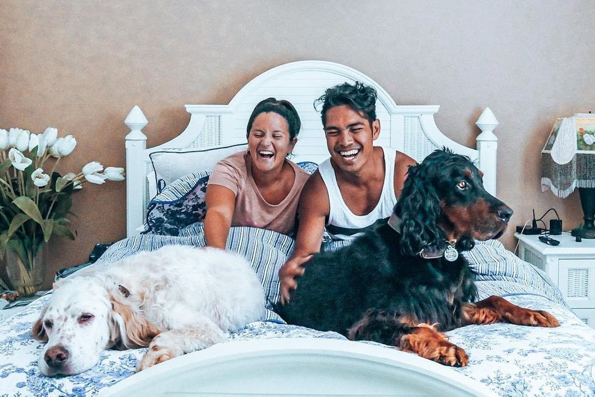 A man and a woman sitting on a bed with two large dogs