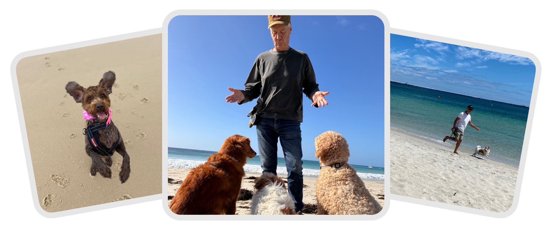 Pet sitters enjoying their sit in Australia with three dogs