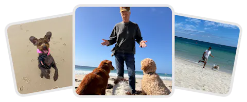 Pet sitters enjoying their sit in Australia with three dogs