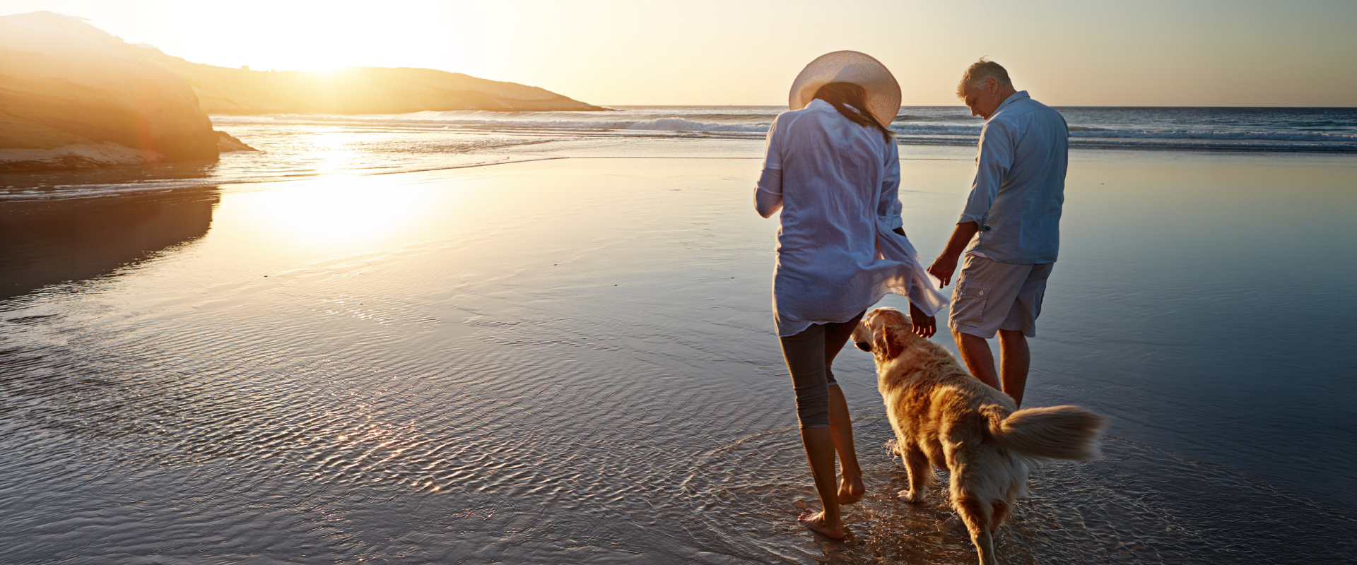 Two people walking in the shallows of the sea with their Golden Retriever
