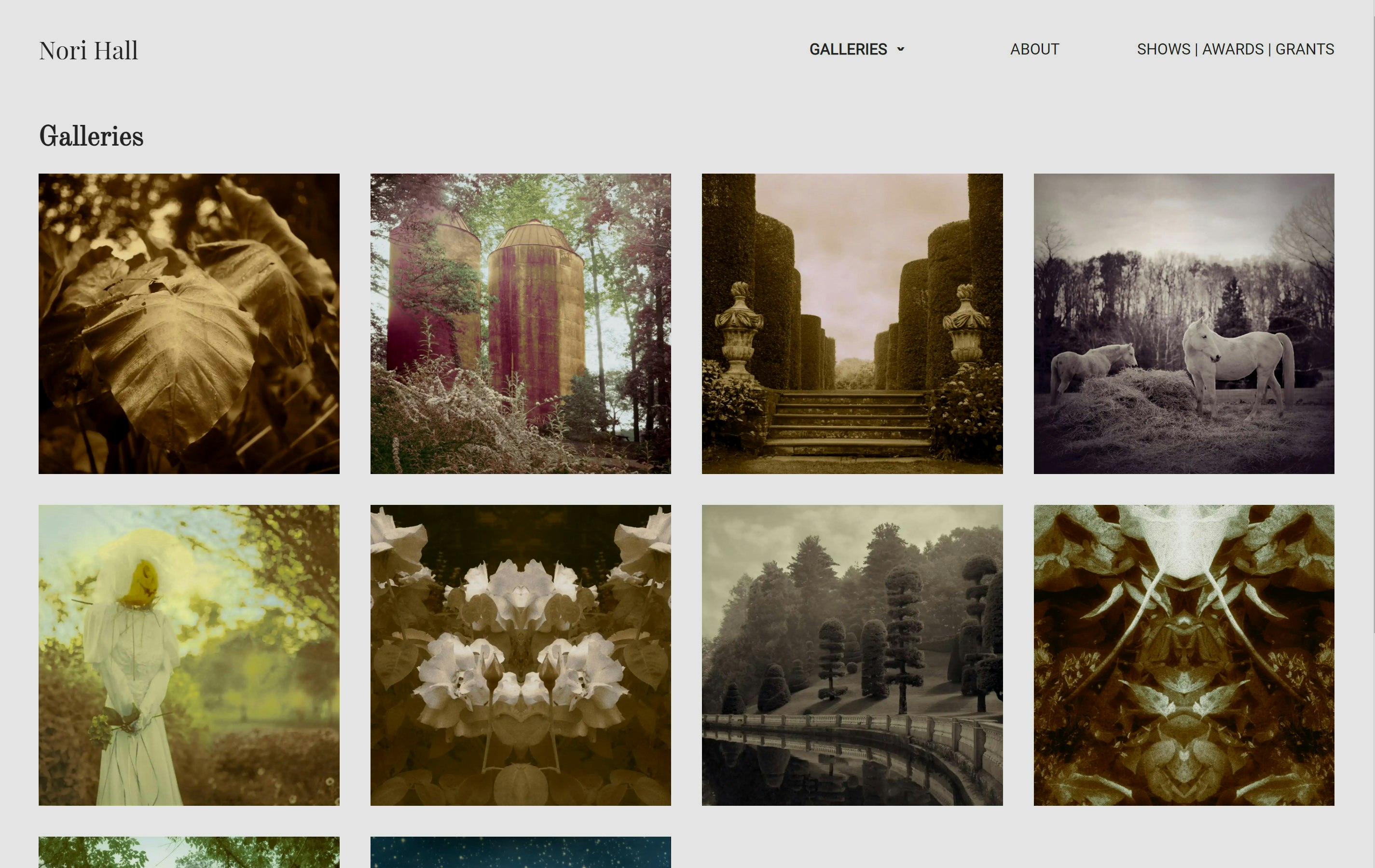 Nori Hall Photography Website (Desktop View)