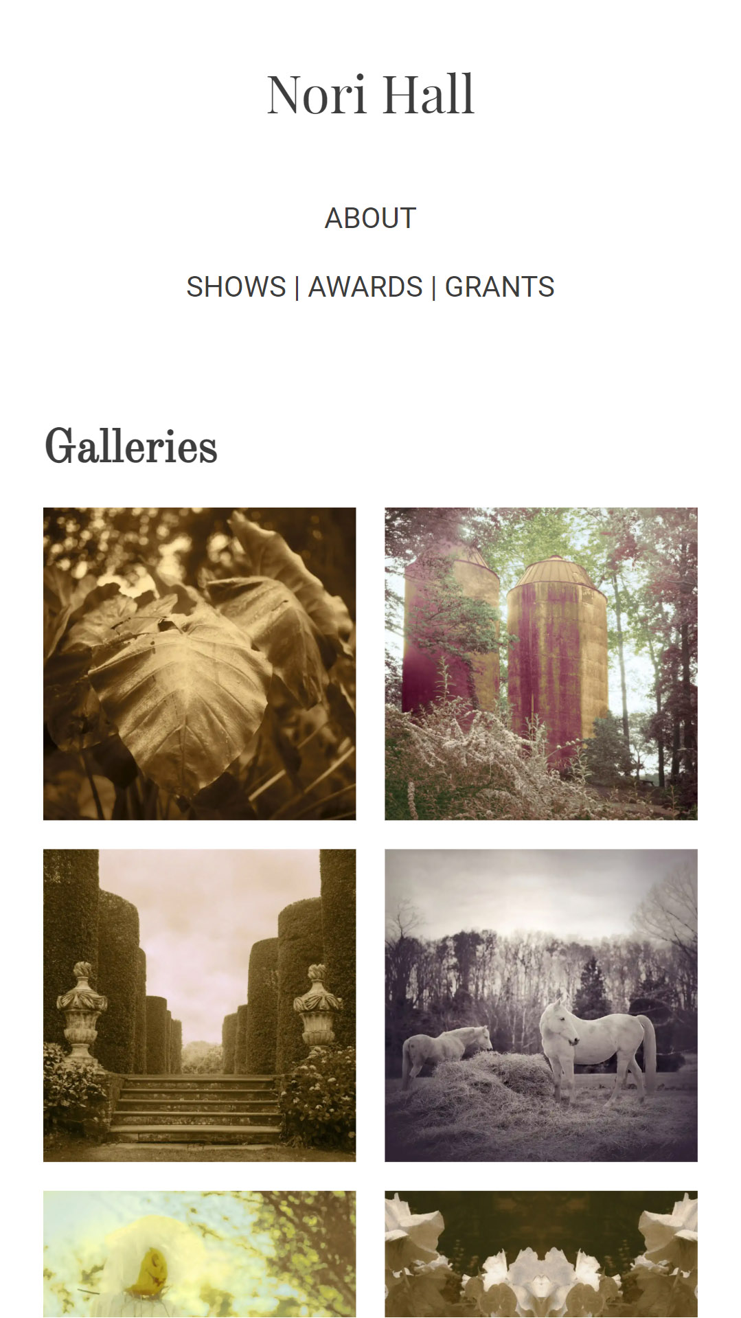Nori Hall Photography Website (Mobile View)