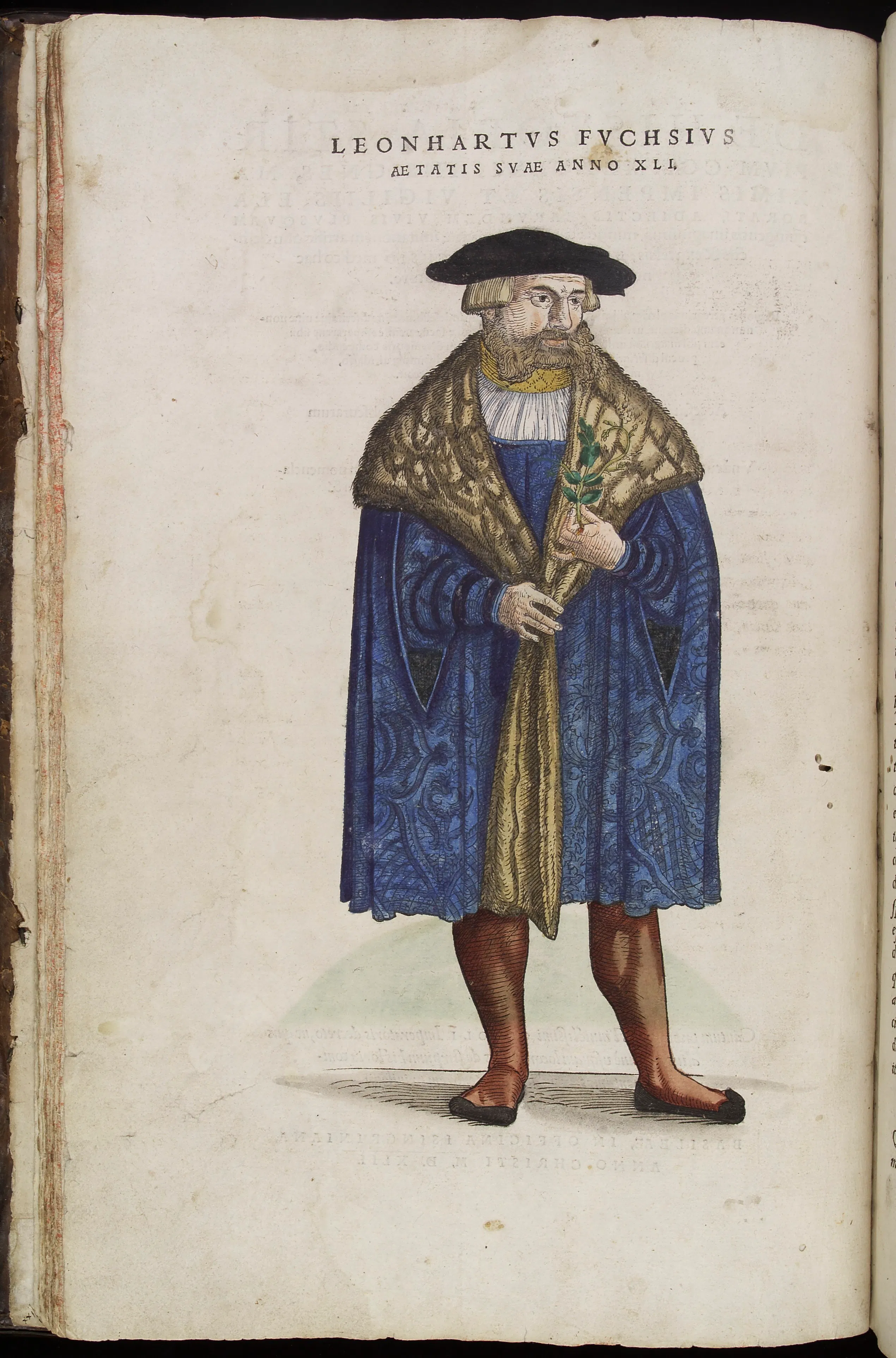A portrait of Leonhart Fuchs at forty-one, from the Wellcome Collection. Fuchs stands for the better-known German herbalist tradition against which Pictorius has usually been measured — a reminder that Pictorius belonged not outside that world but within its shared culture of learned medicine and plant identification.