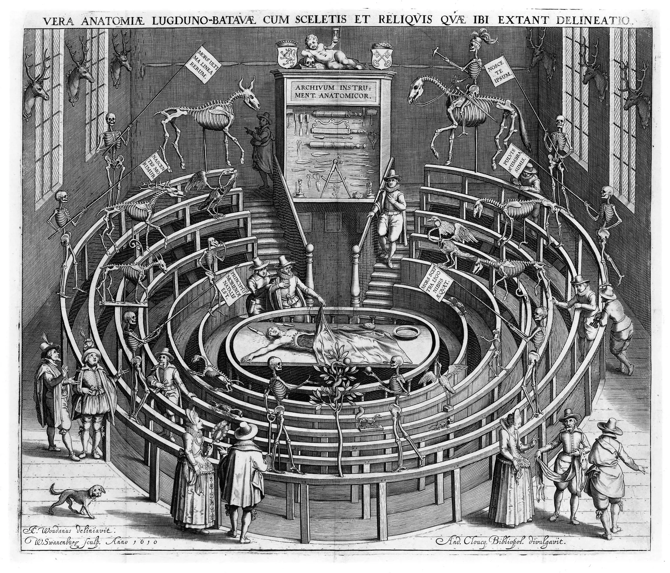 An early seventeenth-century engraving of the Leiden anatomical theatre presents anatomy as a public act of witnessing, the dissecting table at the centre and spectators ranged around it. The scene sets oculata experientia—knowledge authorized by communal seeing—beside the discretion demanded when discoveries left the theatre for print.