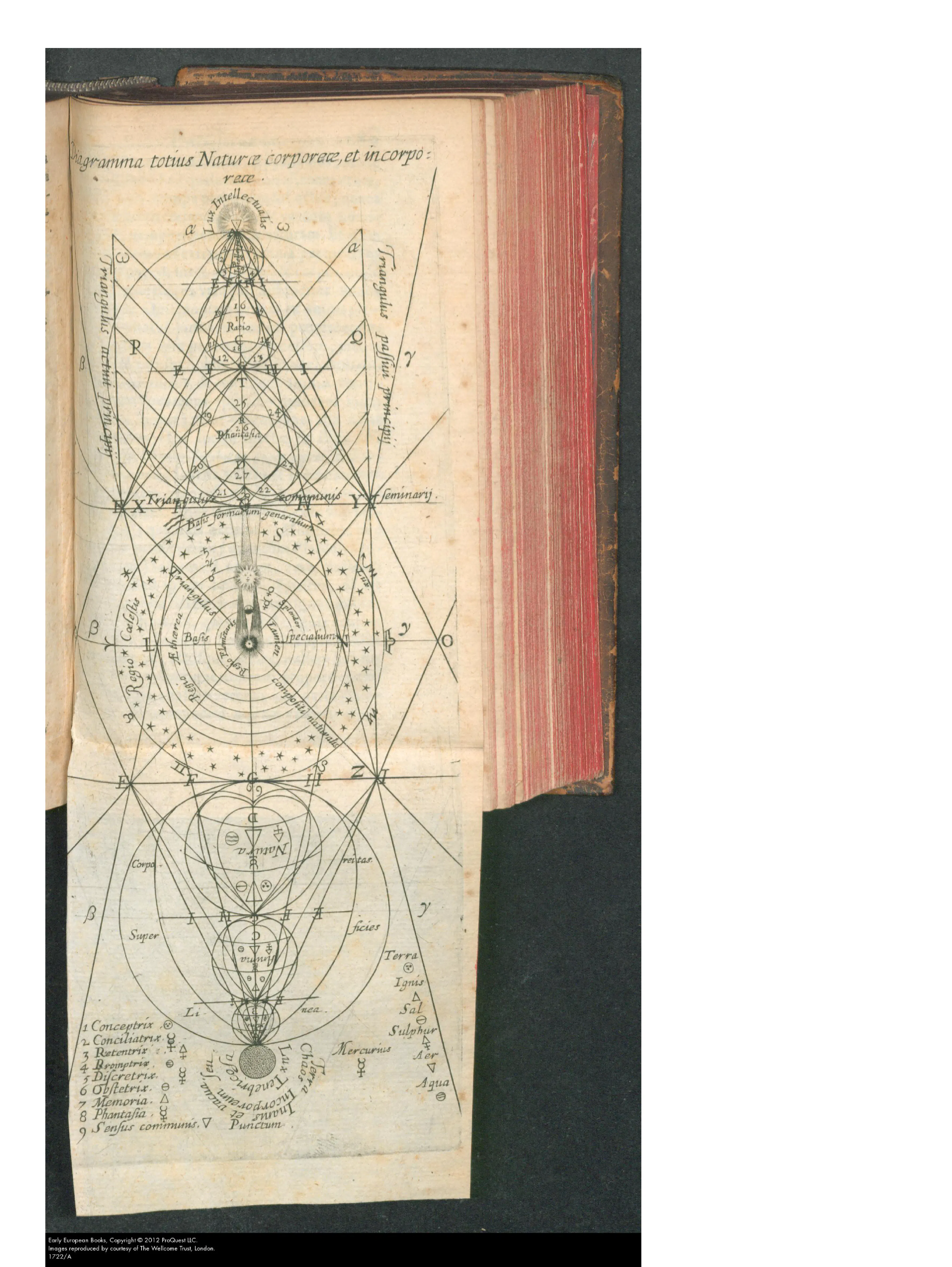 The full-page Diagramma totius Naturæ corporeæ, et incorporeæ draws that descent: Lux Intellectualis presiding over rational and phantastic triangles, celestial zones, and the lower circles of nature and body, with numbered faculties and elemental symbols binding the physician's receptive mind to the separations of salt, sulphur and mercury.