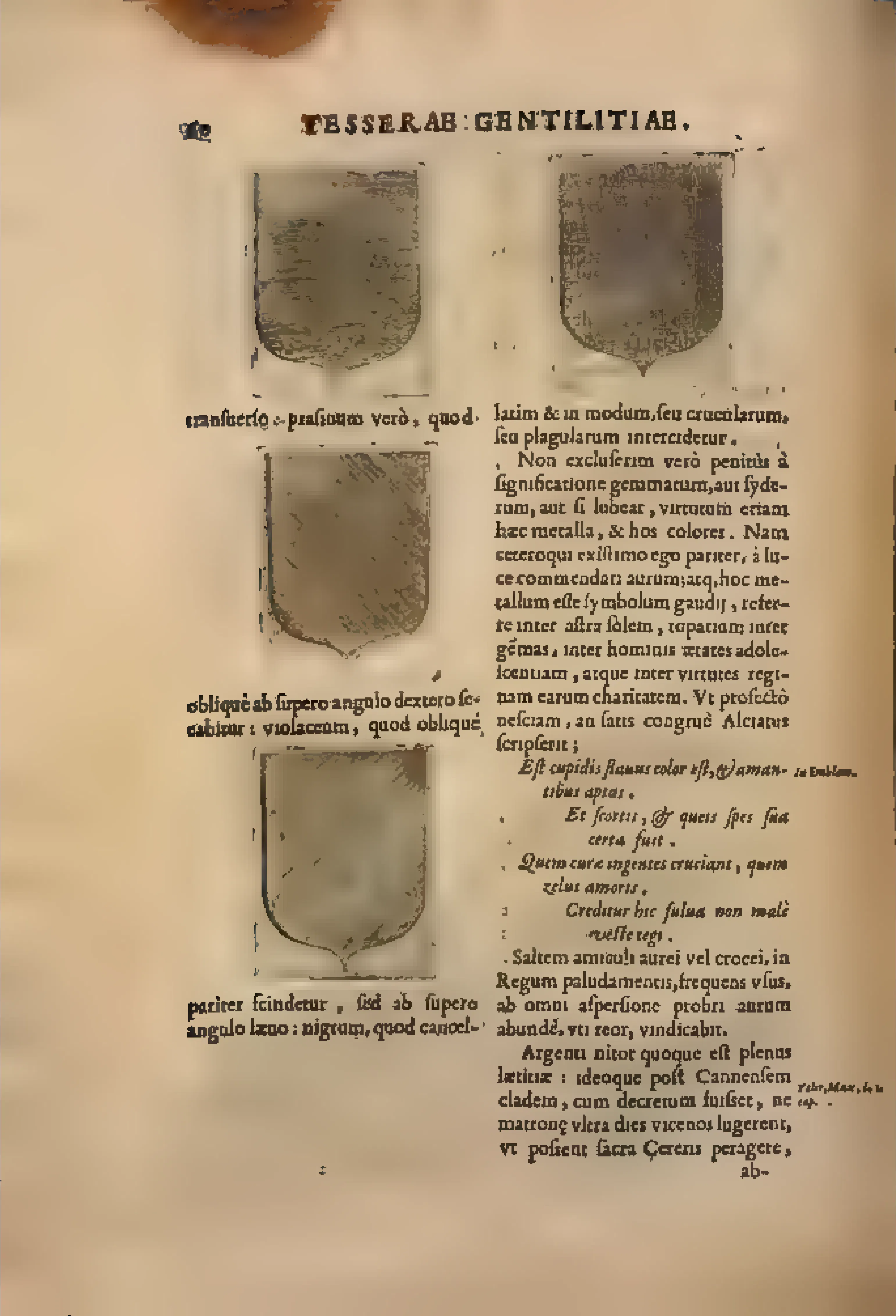 An interior page of the Tesserae gentilitiae: three engraved shields translate tincture into line—dots, opposed diagonals, crosshatching—so that the burin carries colour where pigment is absent.