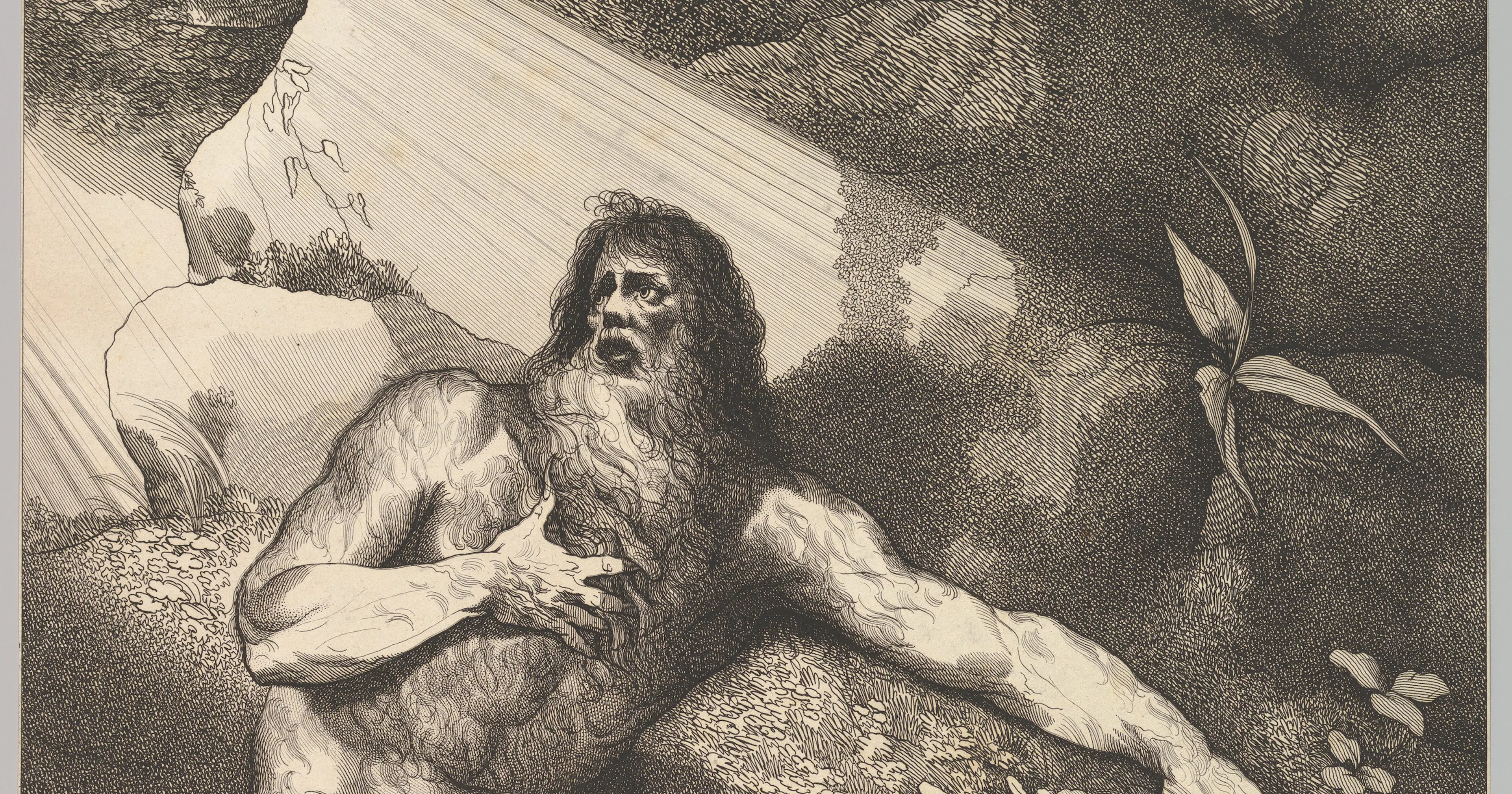 The Wrestler's Hip and the Sleep of Adam: How a Lutheran Anatomist Diagnosed the Diseases of Scripture Without Dissolving the Miracle