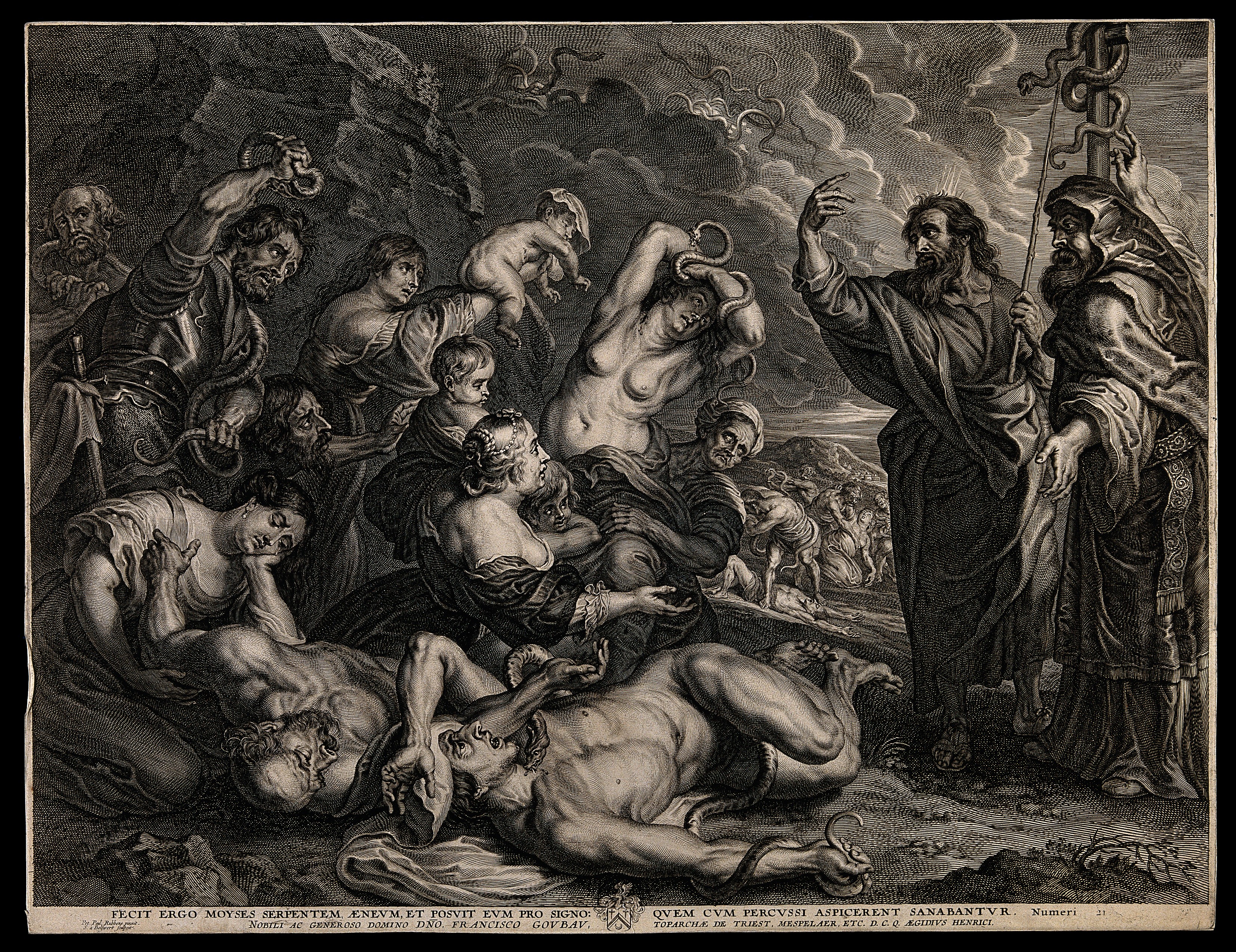 Schelte Adams Bolswert's engraving after Rubens renders Numbers 21 as a scene of bodily crisis.