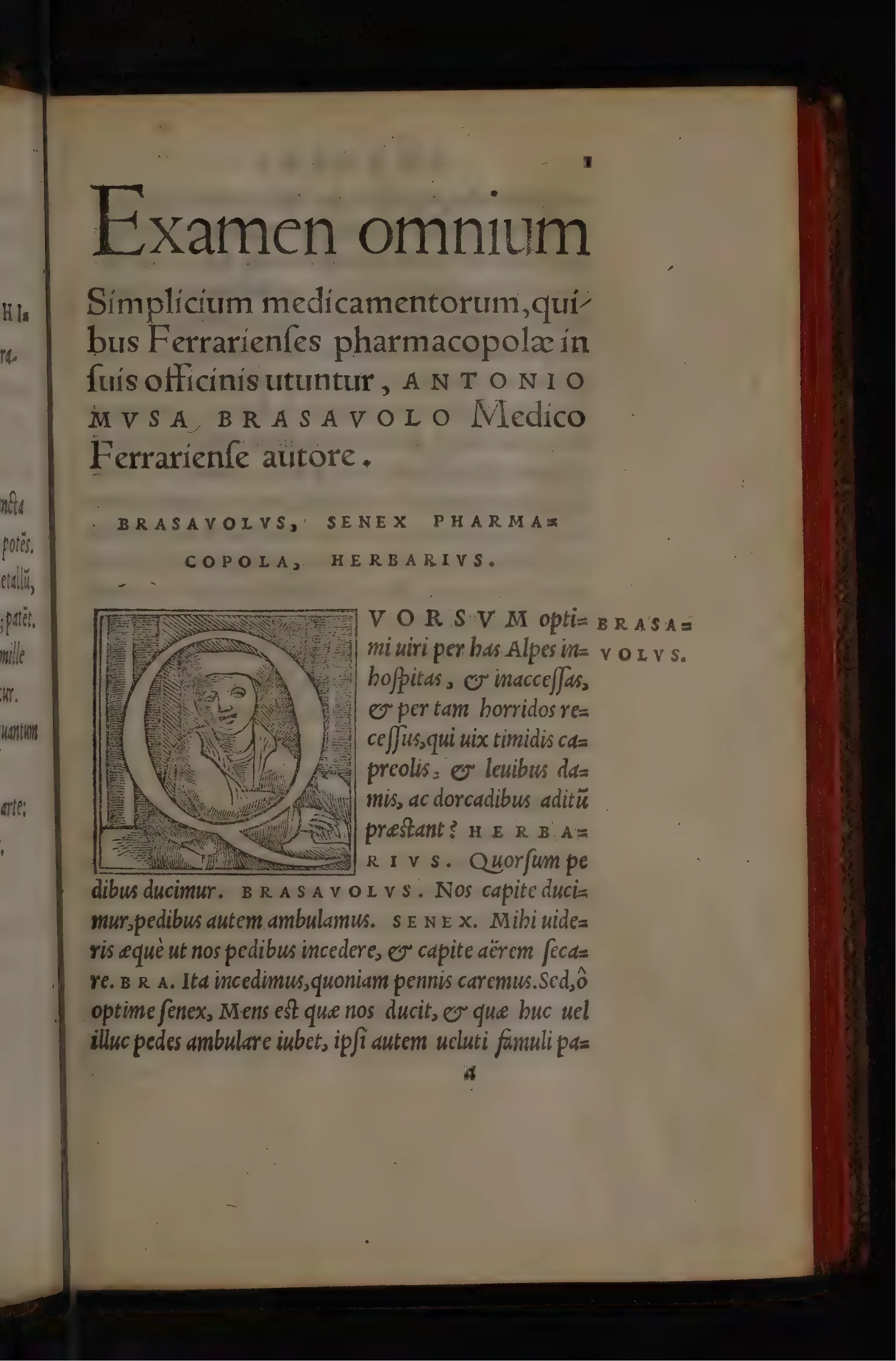 The dialogue opens with a display title naming the examination of simples used in Ferrara's apothecaries' shops, followed by the cast of physician, aged apothecary and herbarist. Beneath the historiated initial Q, the first speech sends them into the inhospitable Alps, making the mountain walk both setting and method.