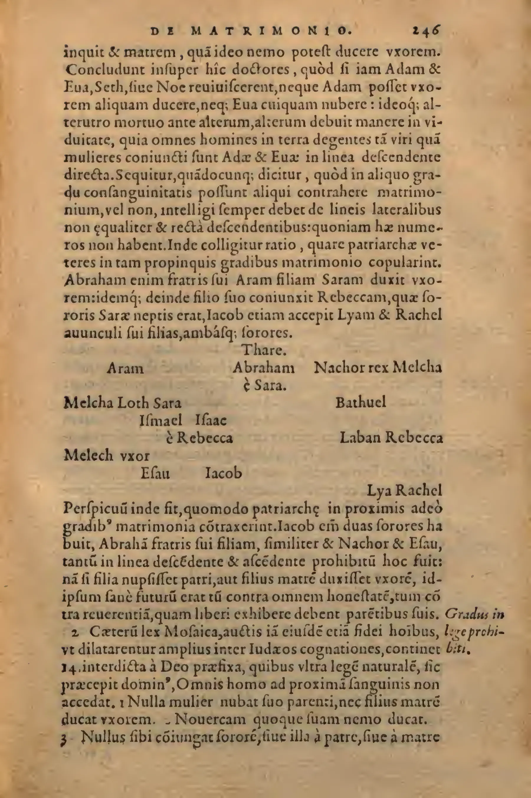 On this page of Homilia LXXVII, the argument about the direct line of descent gives way to a printed patriarchal stemma running from Terah to Leah and Rachel.