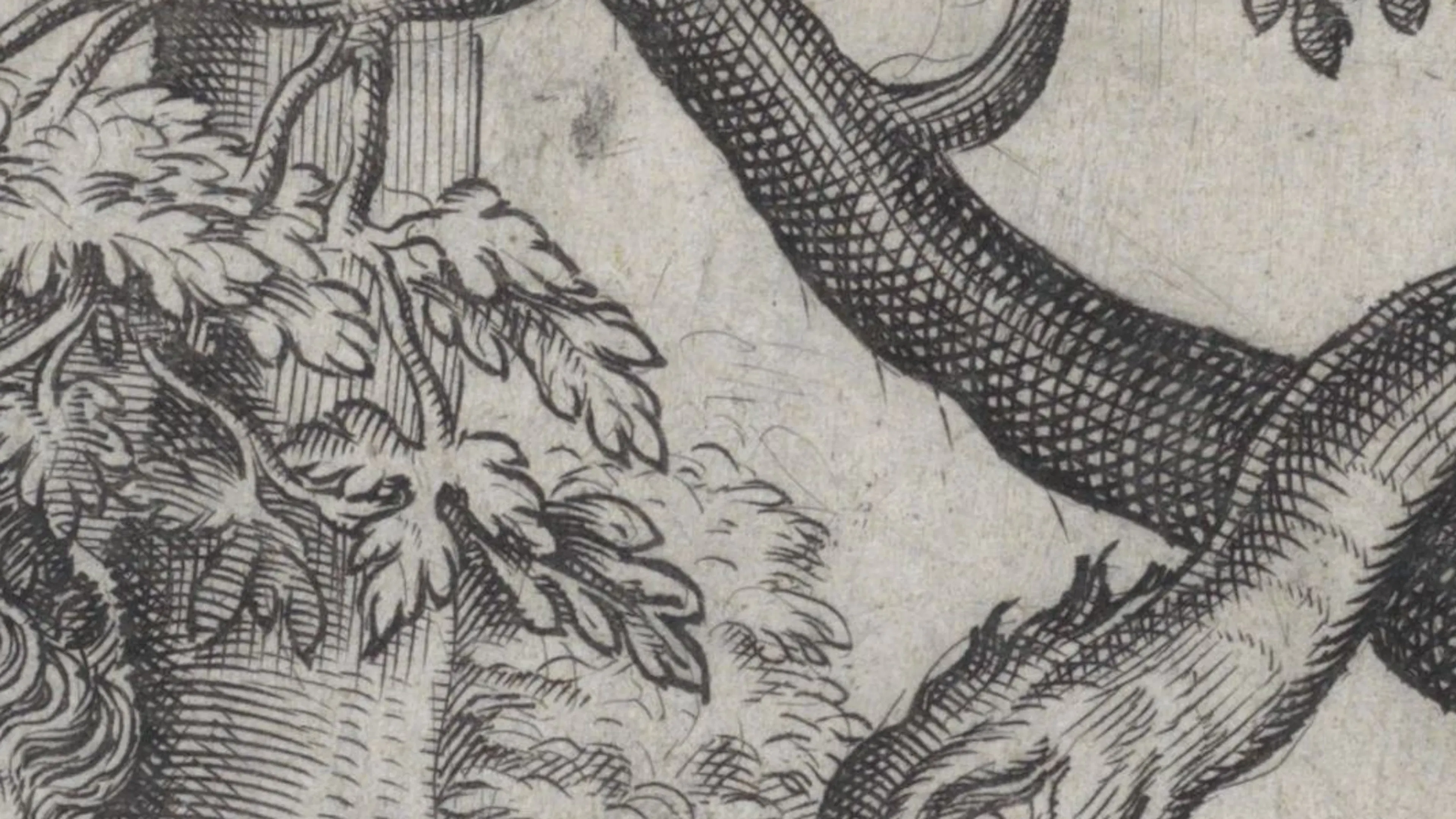 The Sign of the Olive: Leonardo Vairo's Three Books on Fascination: On the Evil Eye, its Species and Causes