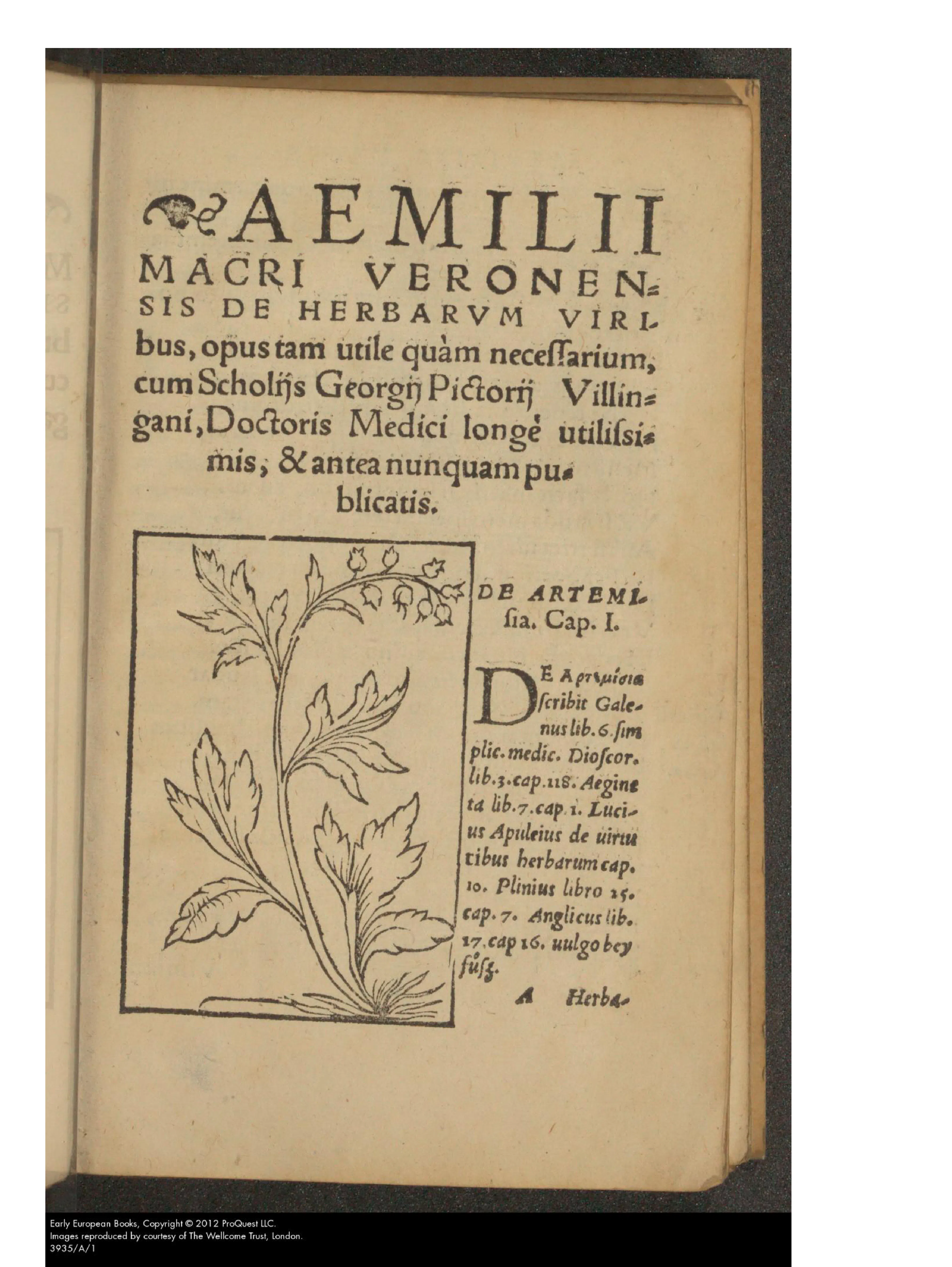 The opening leaf of the poem proper names the pseudonymous “Aemilius Macer of Verona” in display type while presenting Pictorius’s scholia as newly published. The artemisia woodcut and adjoining authority list, with its German gloss, show reused Henricpetri blocks and new commentary turning a hexameter herbal into a cross-referenced instrument.