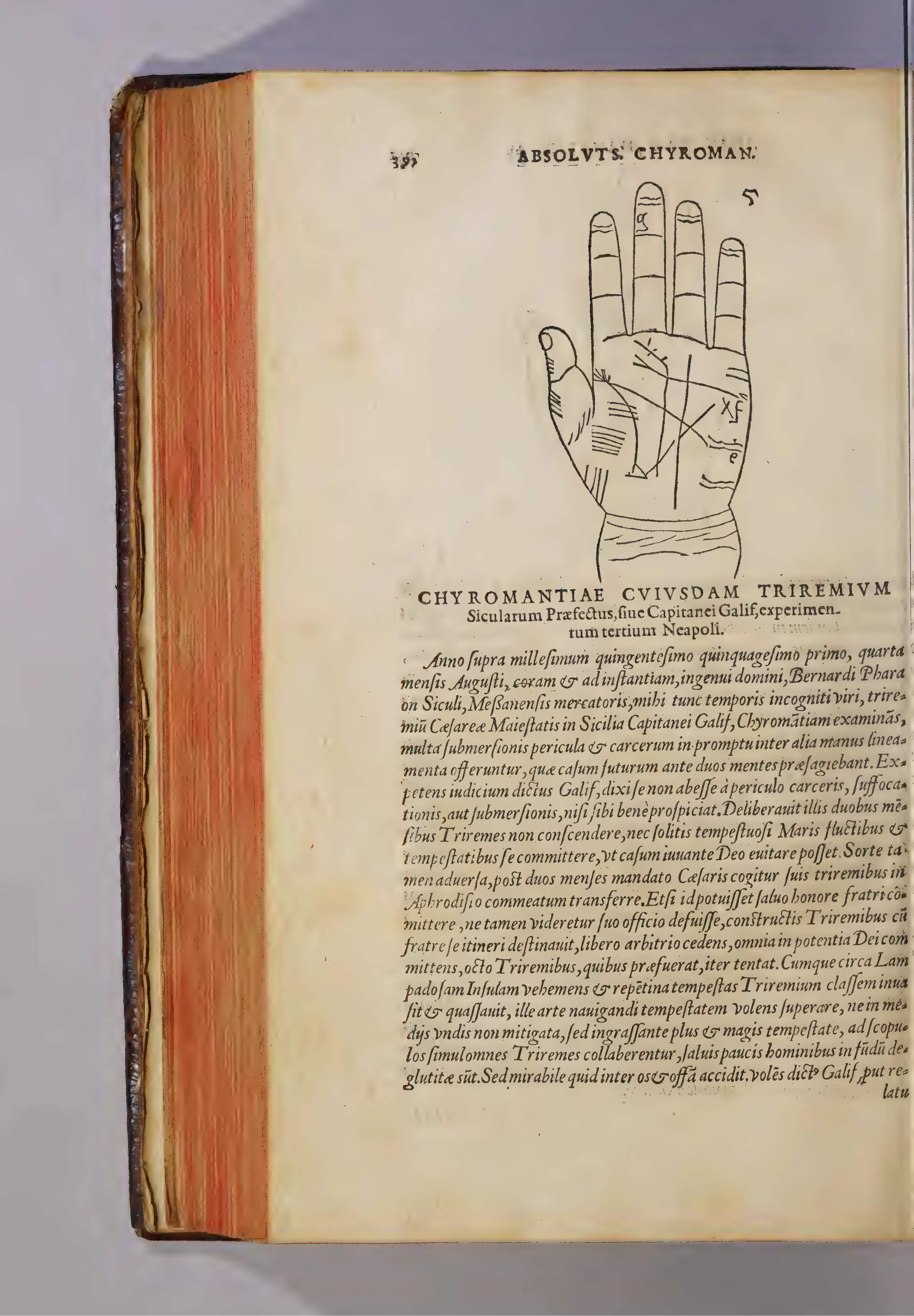Opening the third experimentum of Book VI, a woodcut palm stands above the heading for Bernardus Pharaon, captain of the Sicilian galleys.