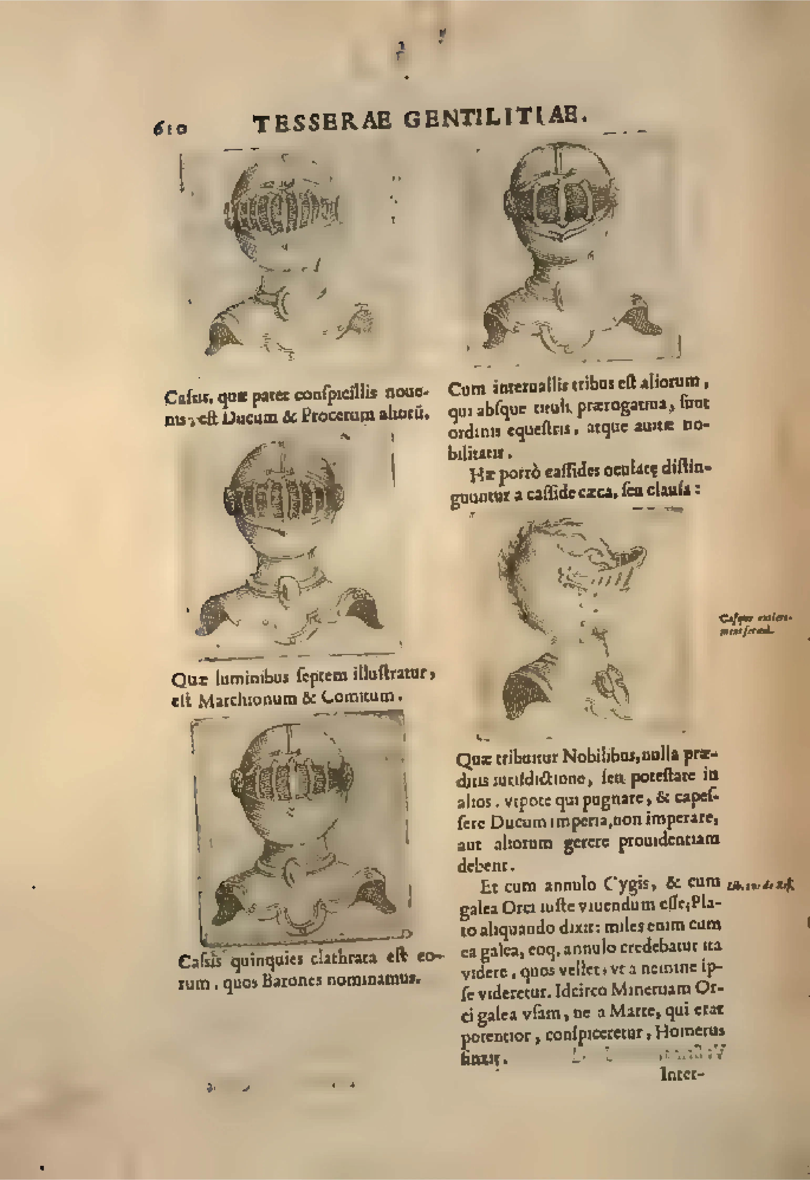 Five engraved cassides make heraldic hierarchy a matter of visible equipment, each helmet paired with a Latin caption assigning it to dukes, counts, barons, or other grades of nobility.
