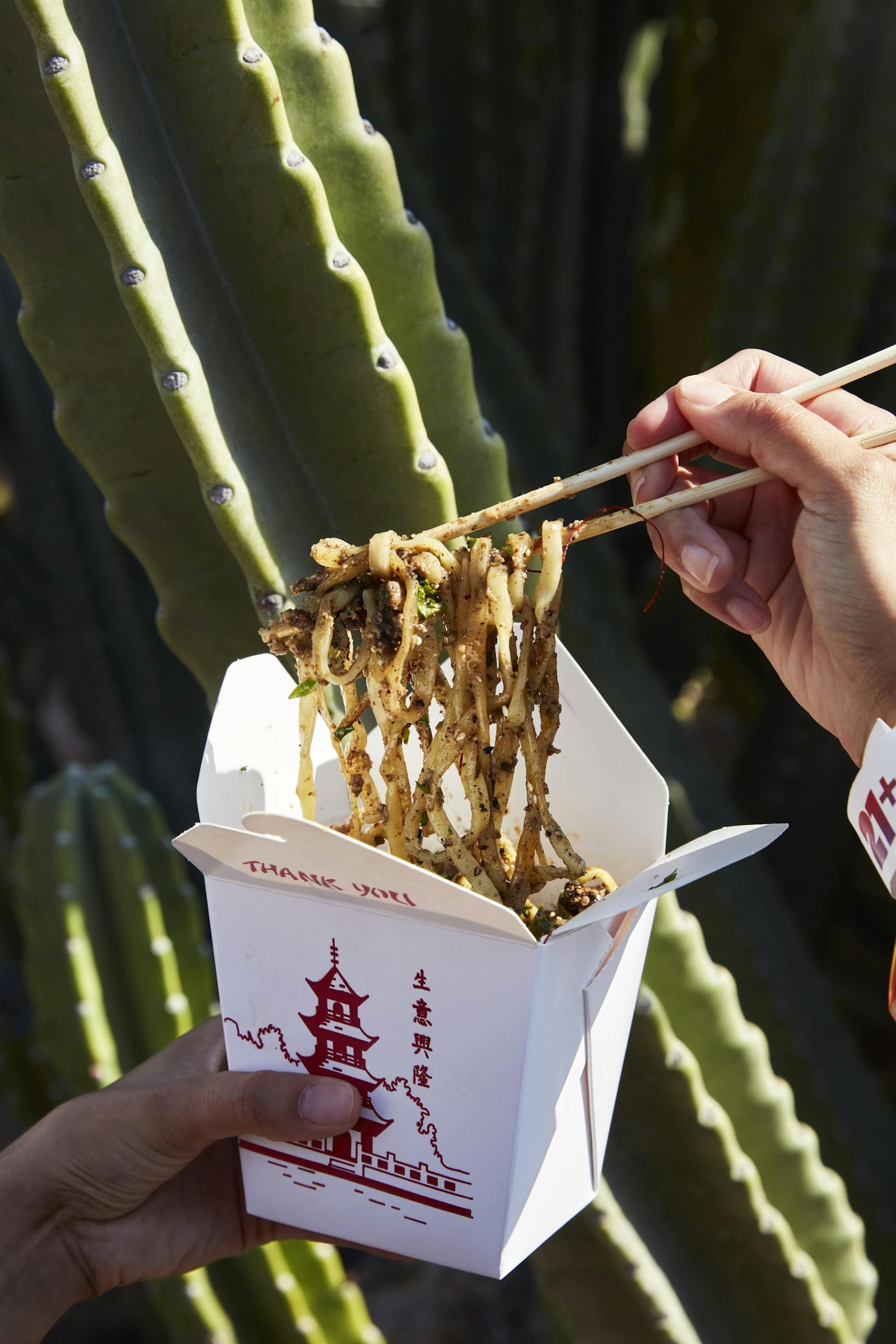 Image of takeout box with noodles in it