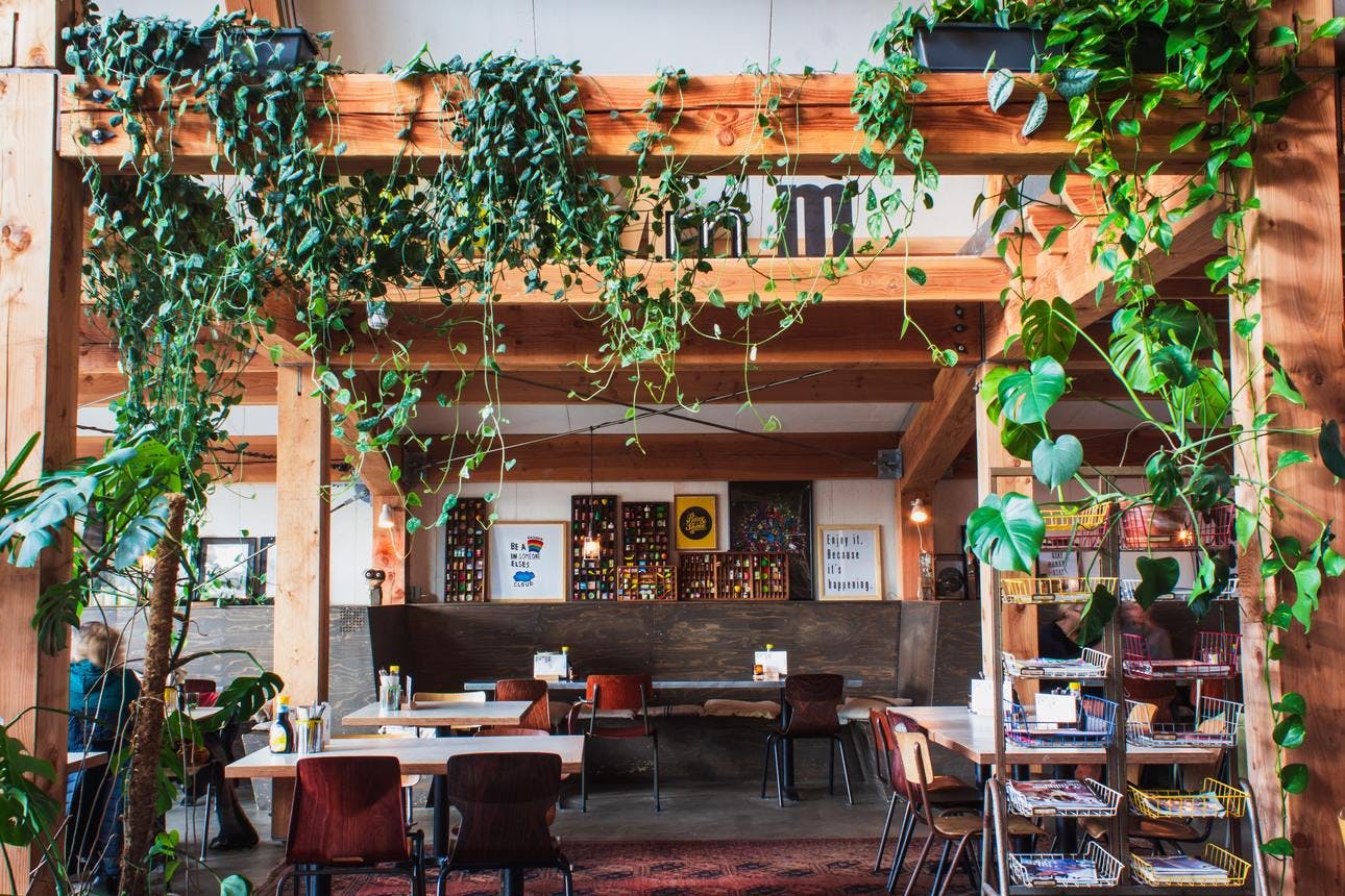 Image of a restaurant decorated with lots of natural wood and plants