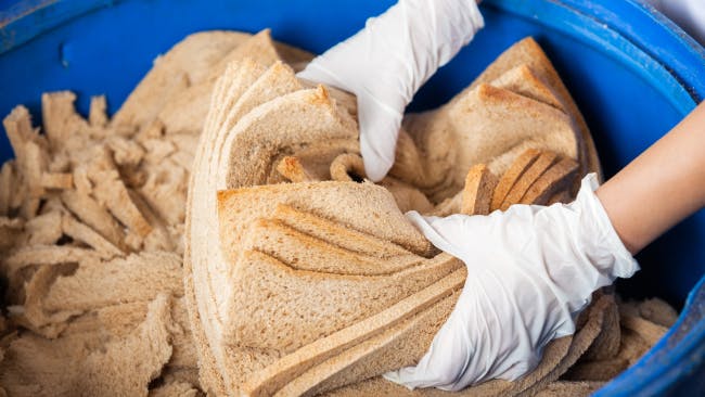 Image of restaurant employee composting leftover bread
