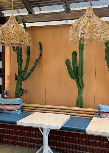 Image of the ambiance at Chulita - cactuses, brown rattan lamps, bright blue cushions and more