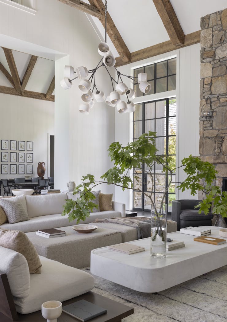 TS-Adams-Studio-Architects-Atlanta-Georgia-Meadow's-Edge-Interior-Living-Room