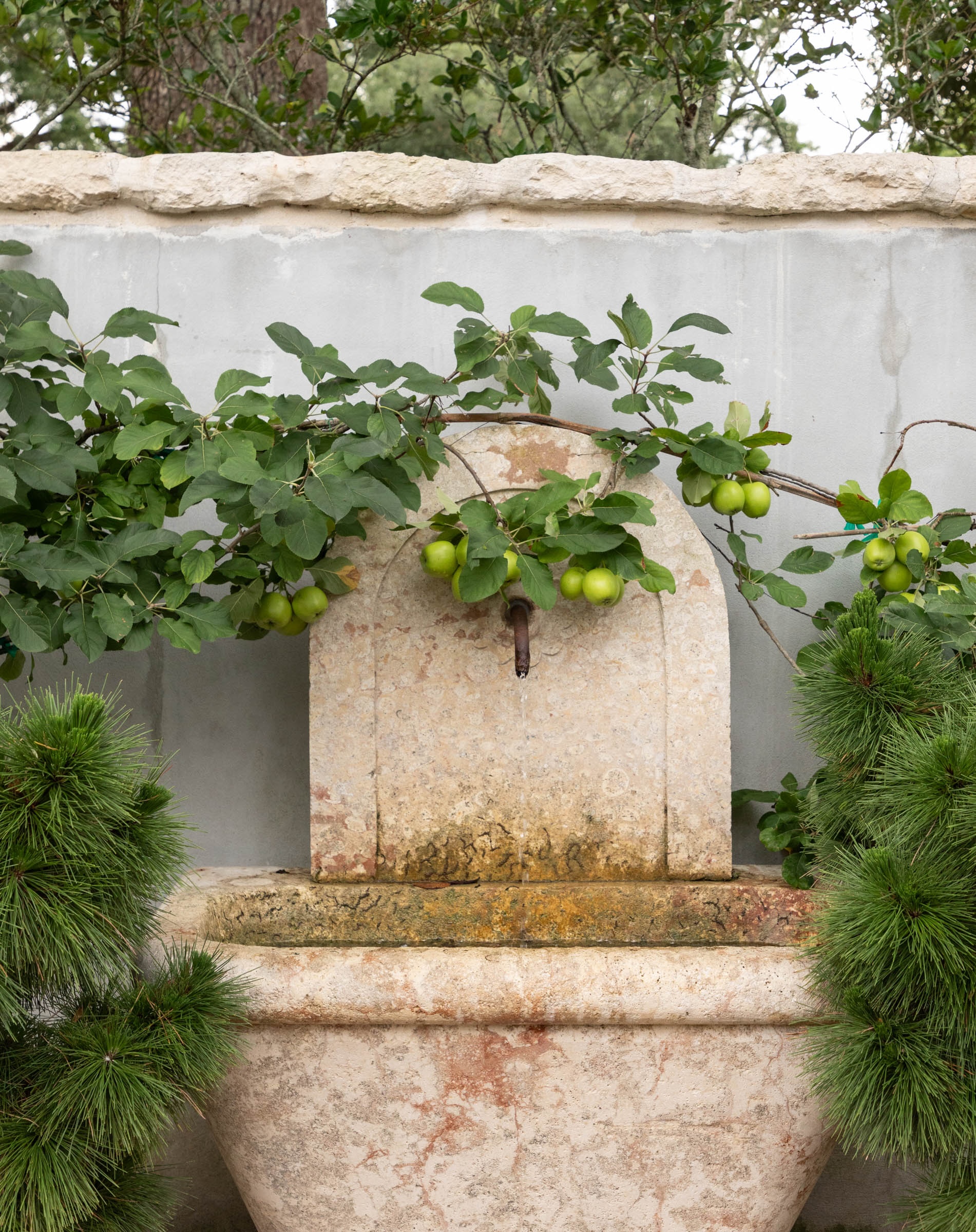 TS-Adams-Studio-Architects-Atlanta-Georgia-Villa-on-the-Bluff-Exterior-Garden-Fountain-Detail
