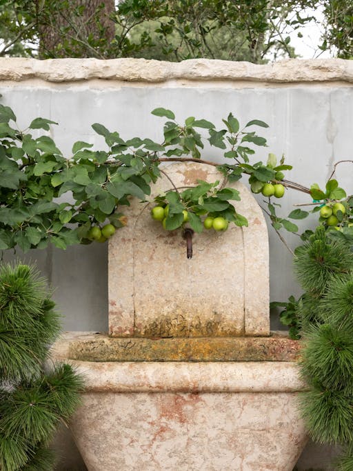 TS-Adams-Studio-Architects-Atlanta-Georgia-Villa-on-the-Bluff-Exterior-Garden-Fountain-Detail