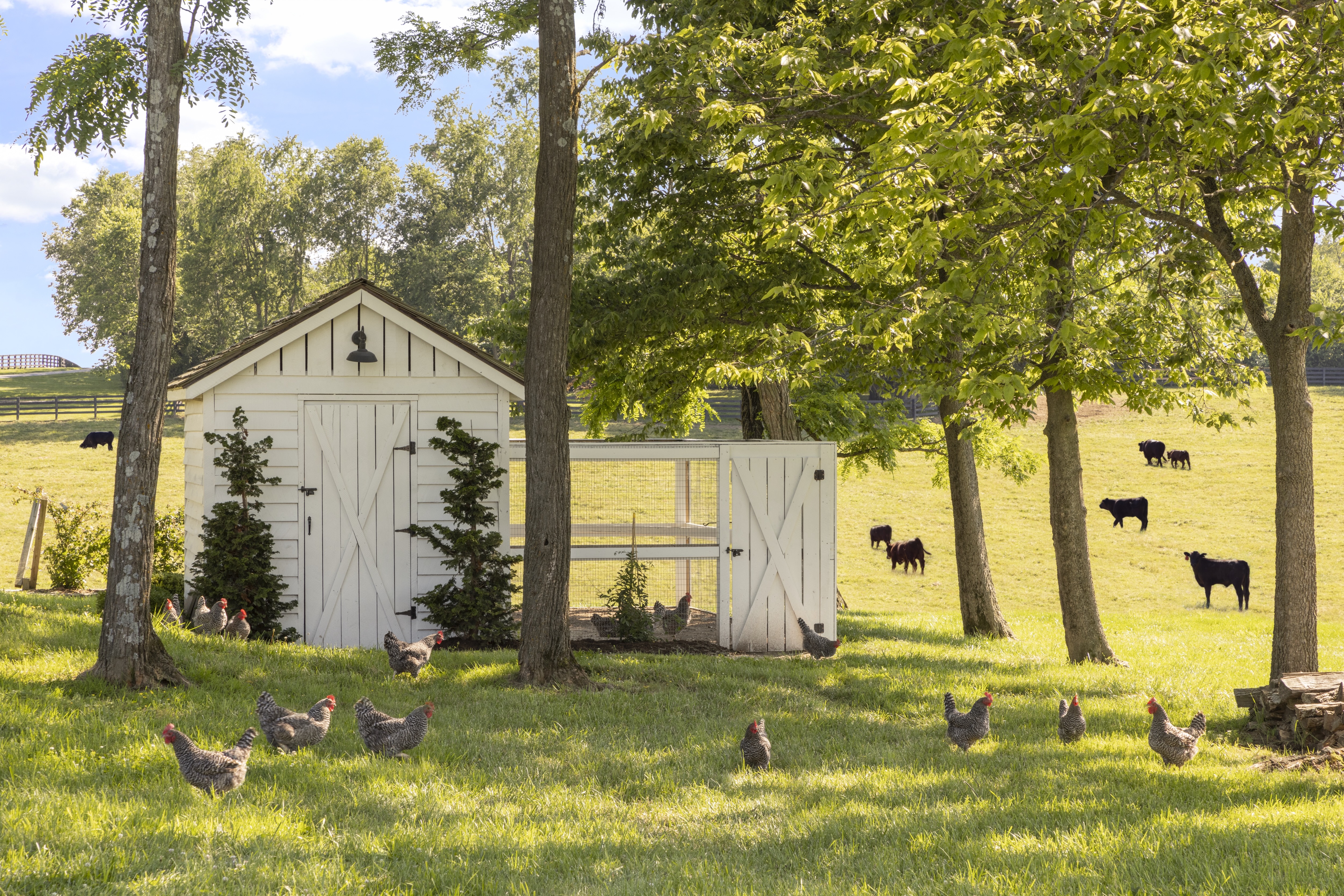 TS-Adams-Studio-Architects-Atlanta-Georgia-Seven-Stones-Farm-Animals
