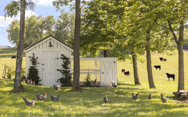 TS-Adams-Studio-Architects-Atlanta-Georgia-Seven-Stones-Farm-Animals