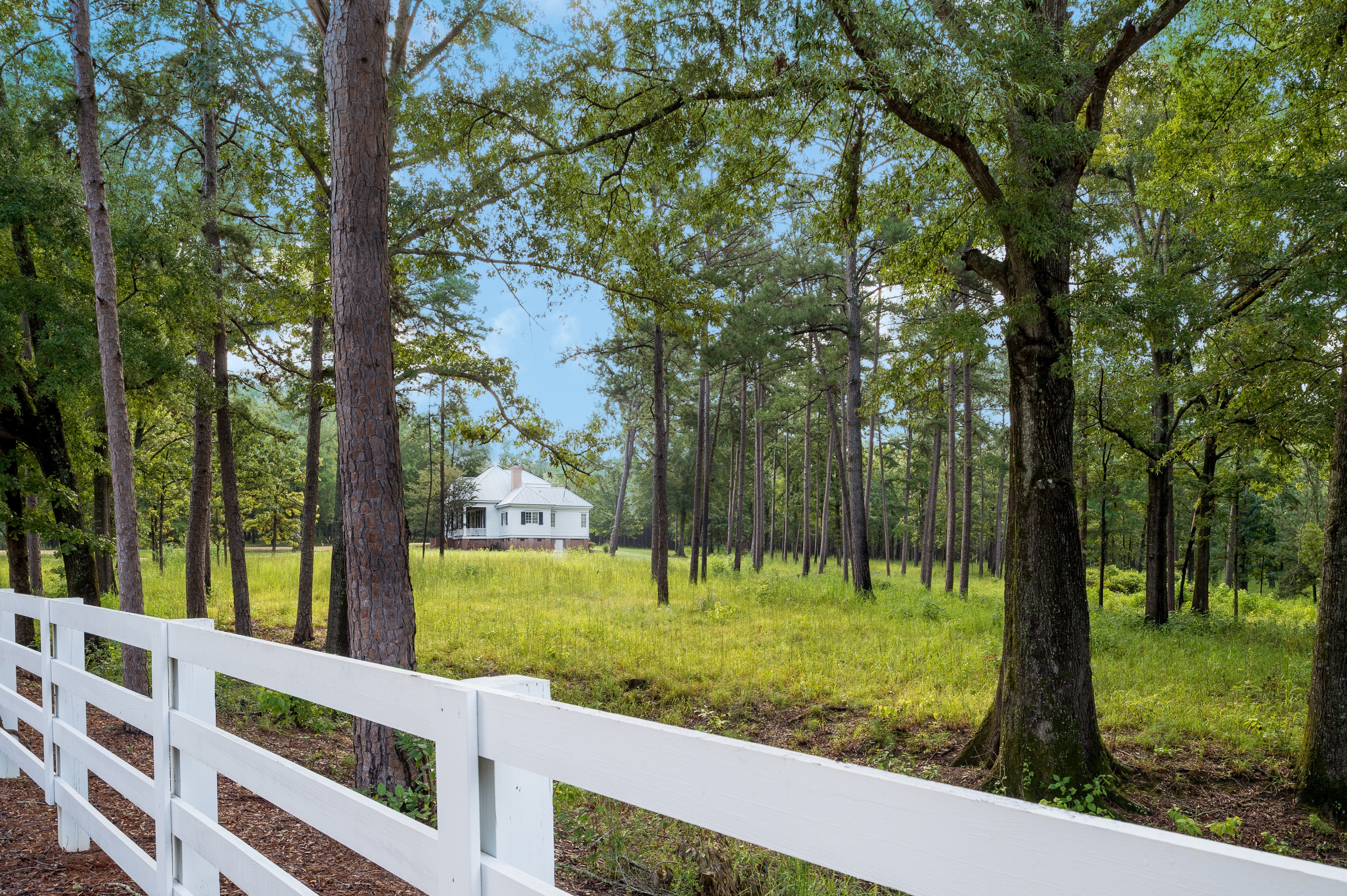 TS-Adams-Studio-Architects-Atlanta-Georgia-Serene-Hunting-Lodge-Guest-House