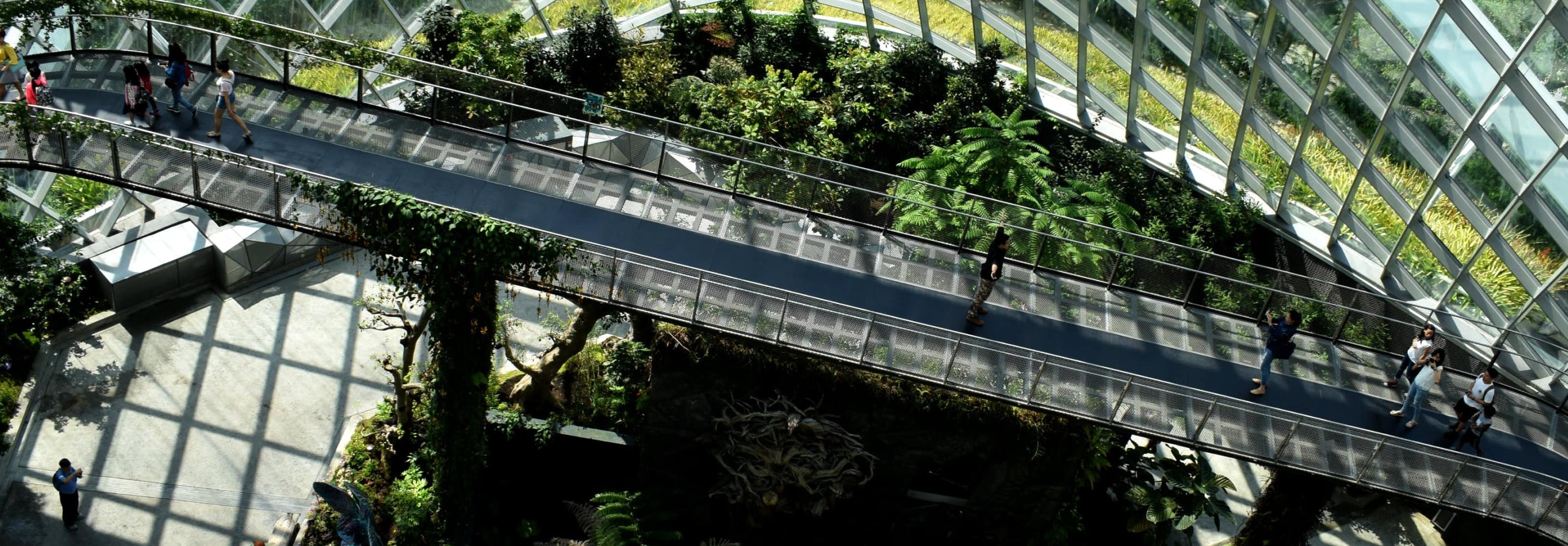 Greenhouse building and people crossing the bridge